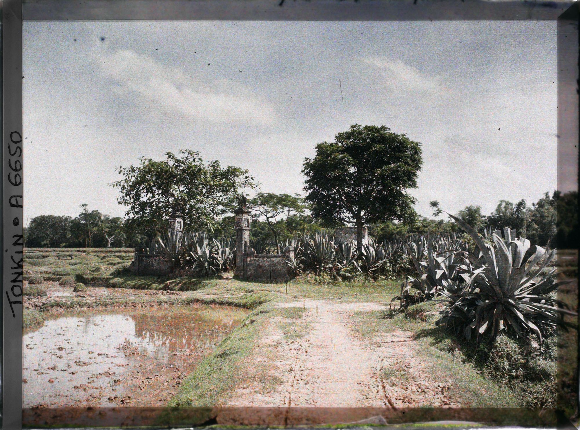 Image représentant Un monument champêtre environné d'agaves