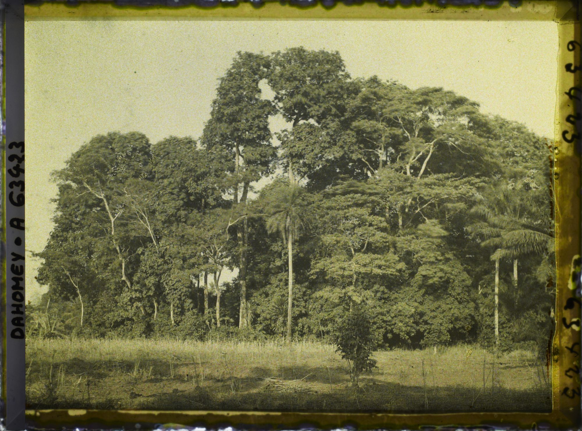 Image représentant Un bois sacré faisant office d'enclos fétichiste