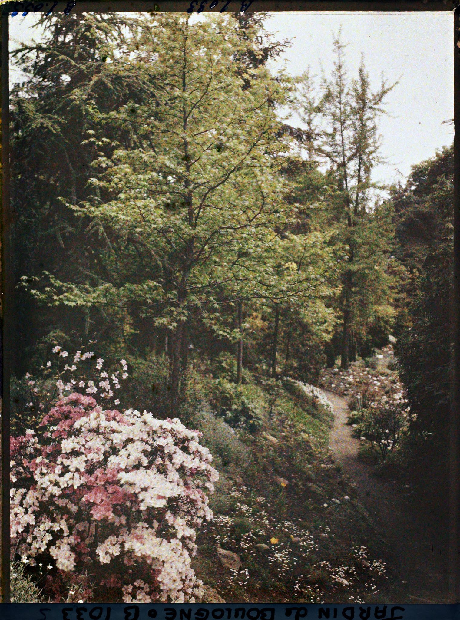 Image représentant Massif fleuri au bord d'un chemin du " jardin chinois " menant au sorinto du " sanctuaire japonais "