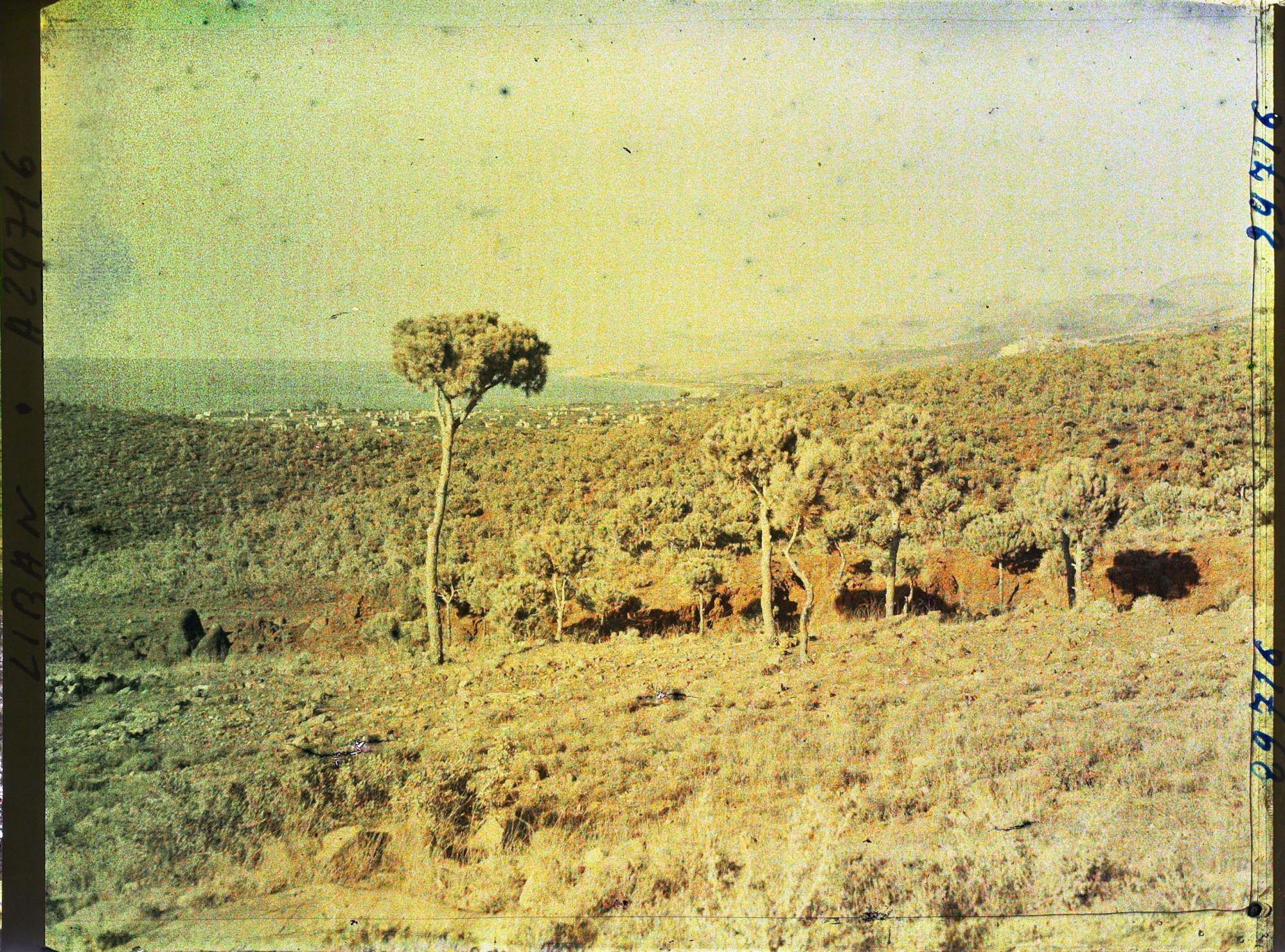 Image représentant Vue en direction de la baie de Beyrouth