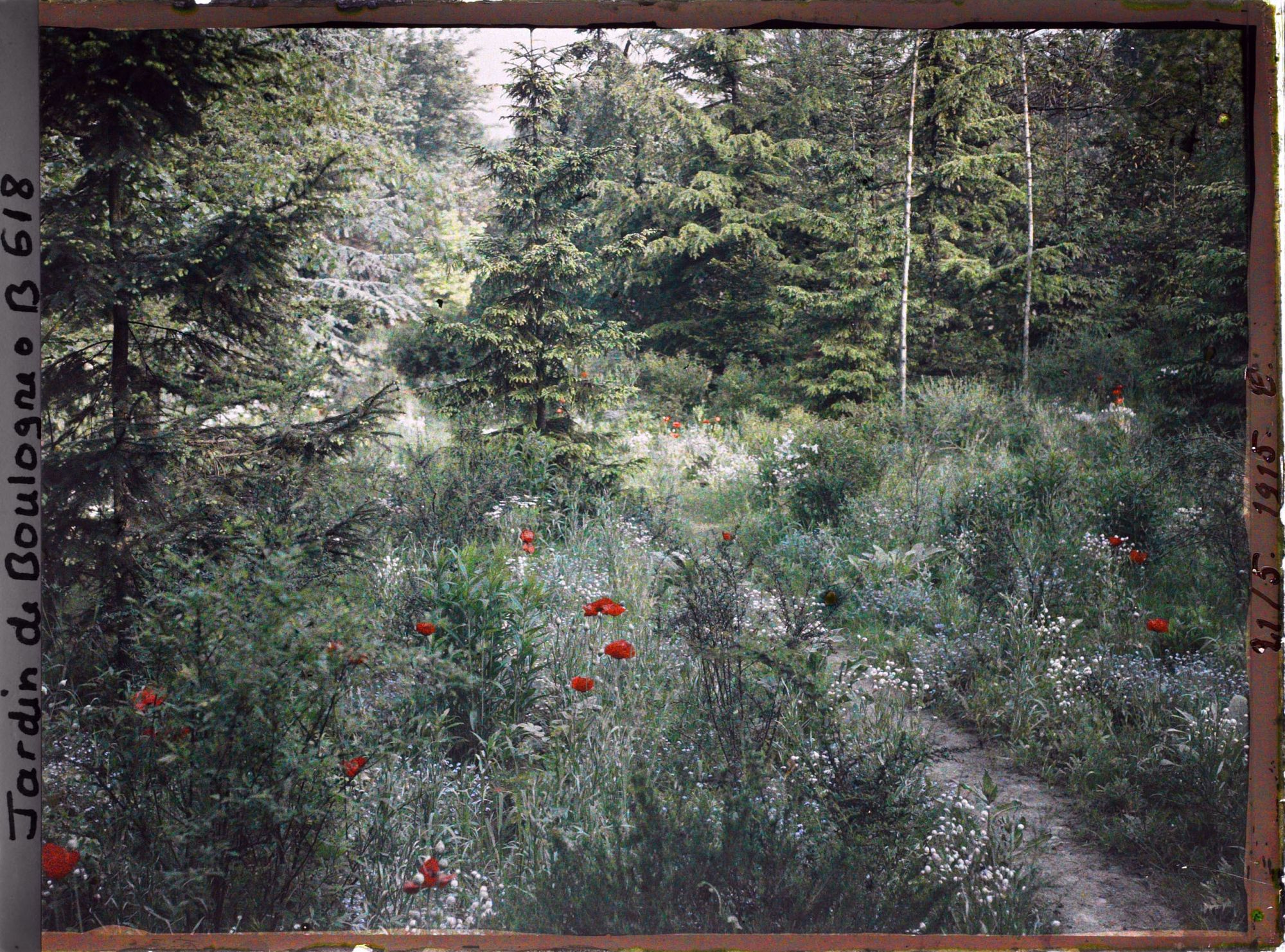 Image représentant La prairie et la forêt dorée