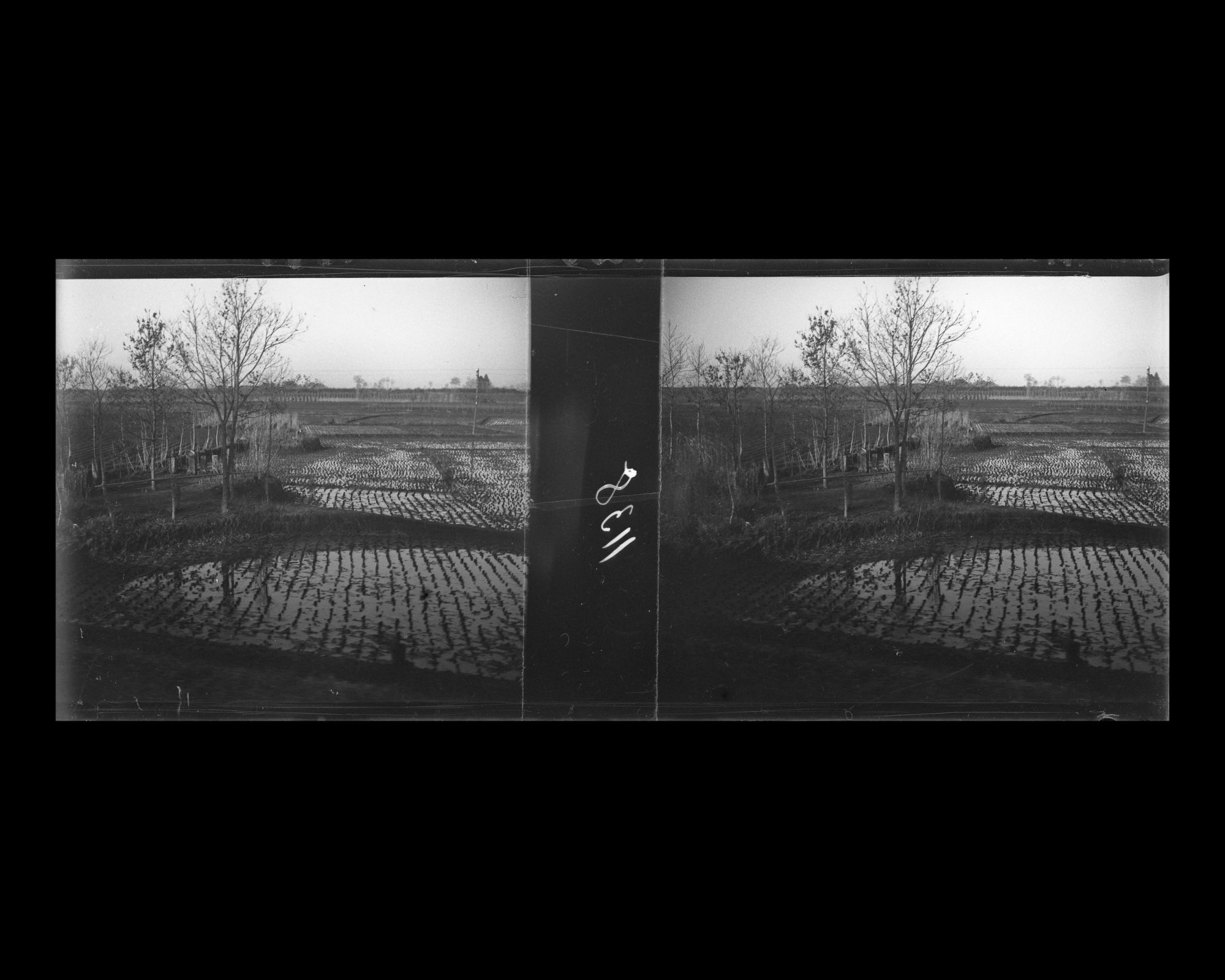Image représentant Paysage de rizières vu du train