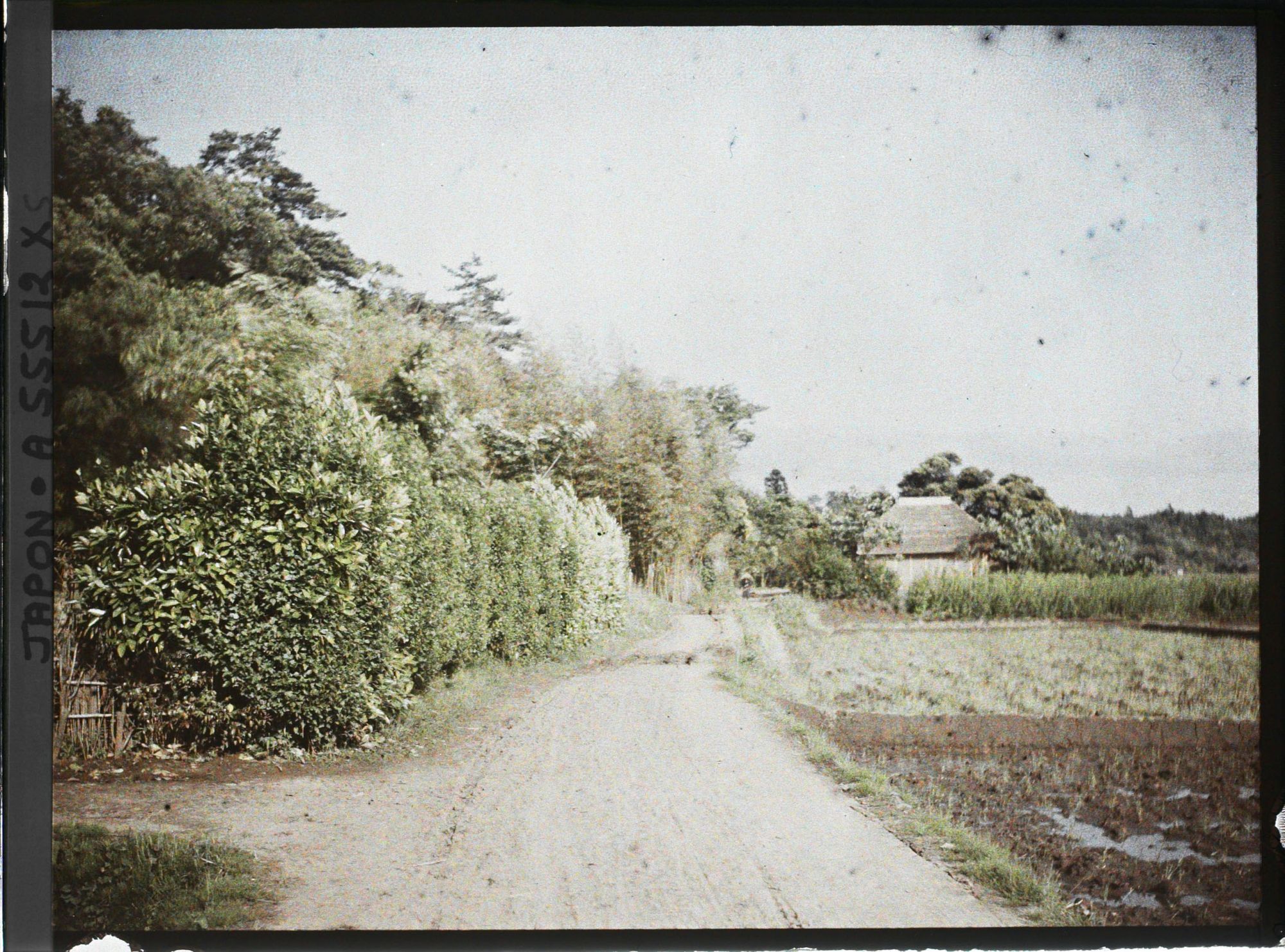 Image représentant Village de la commune de Sakura