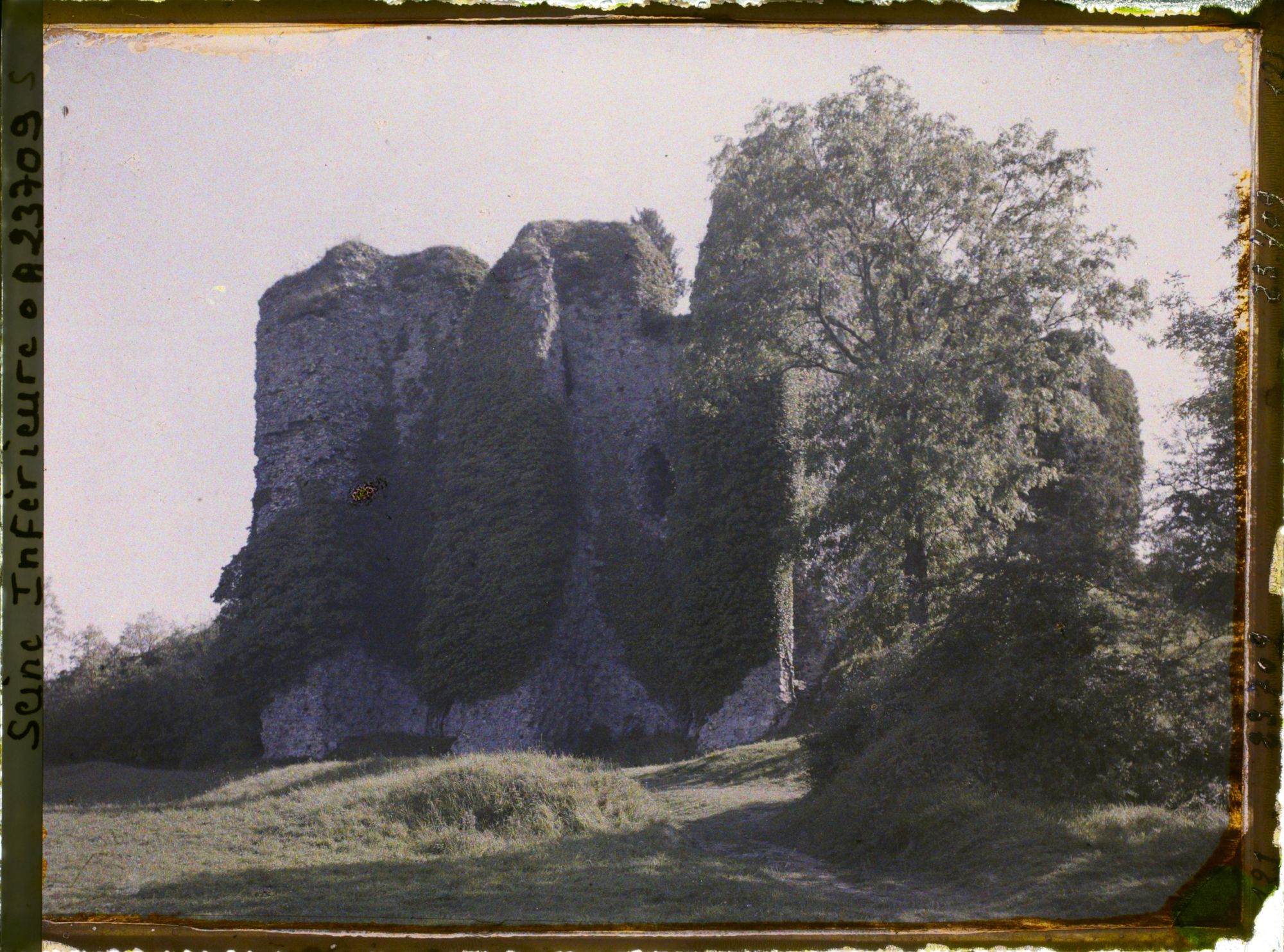 Image représentant Le donjon vu de la cour