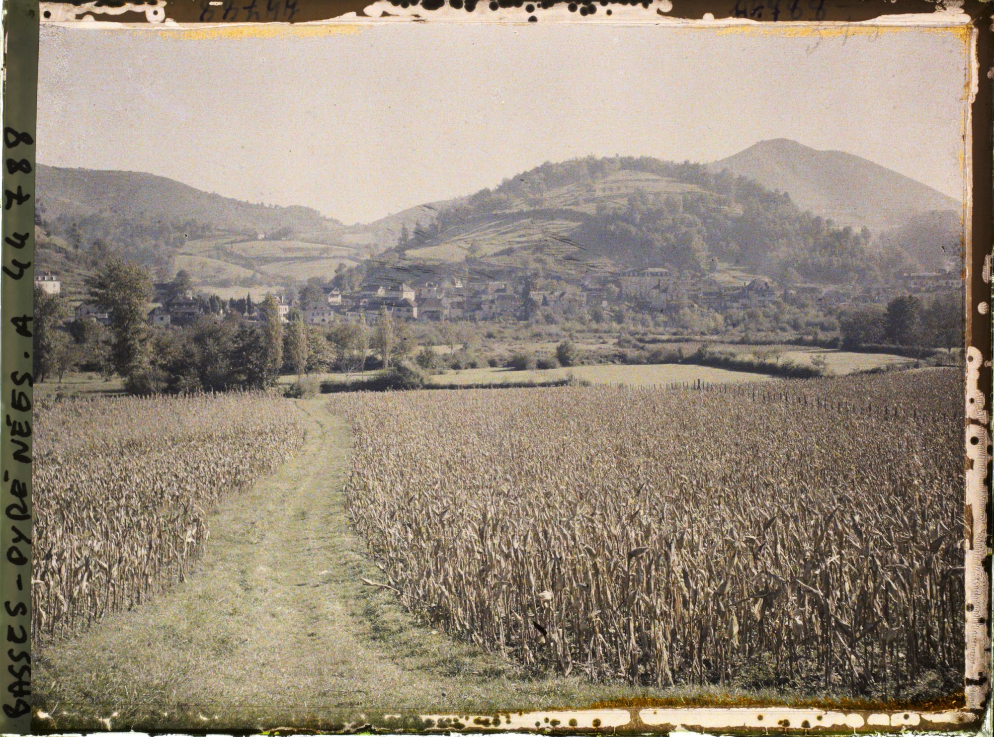 Image représentant France , Alos, Vue prise d'Alos vers Tardets, Les Champs de Maïs