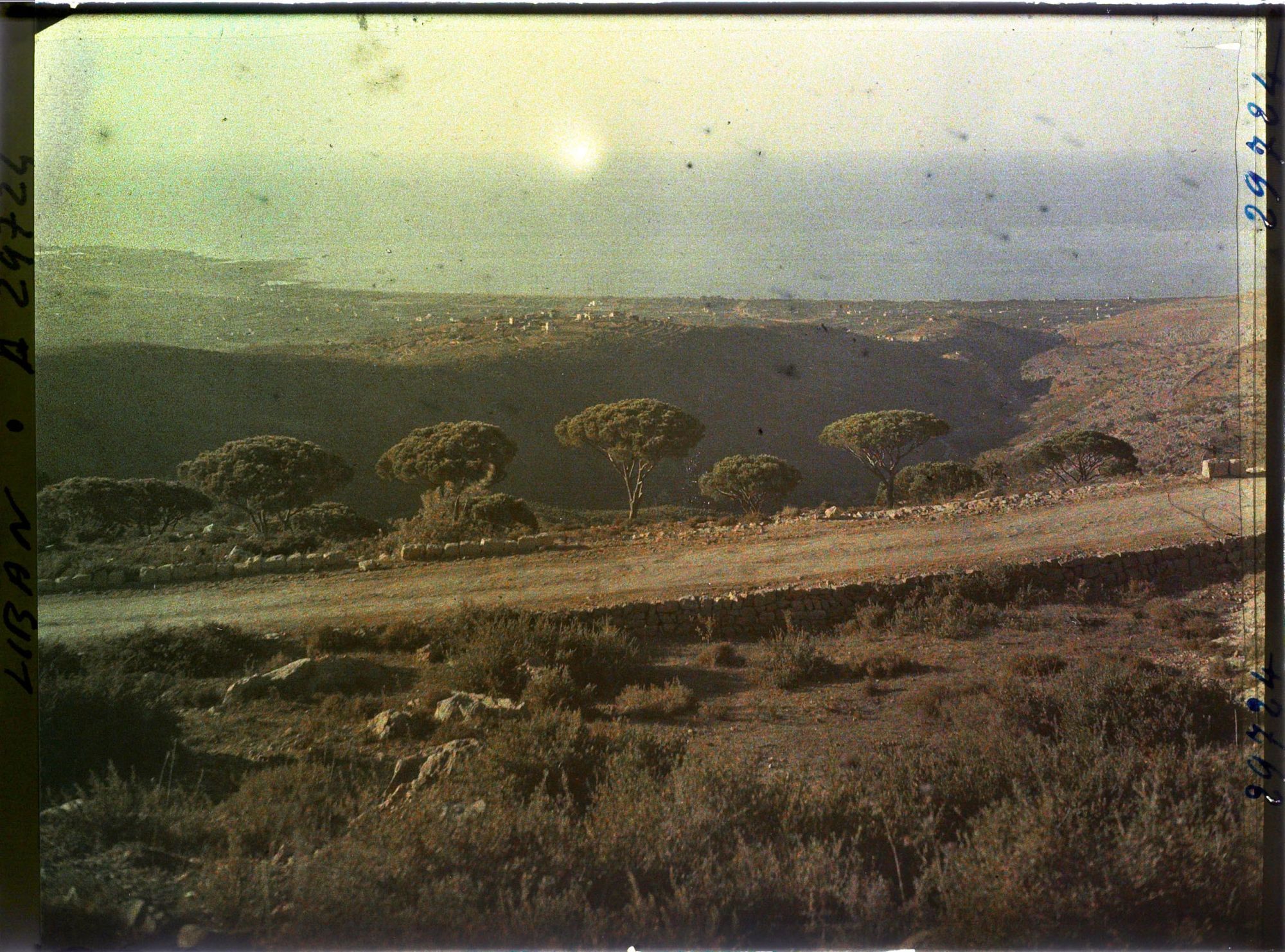 Image représentant Vue sur la baie de Beyrouth