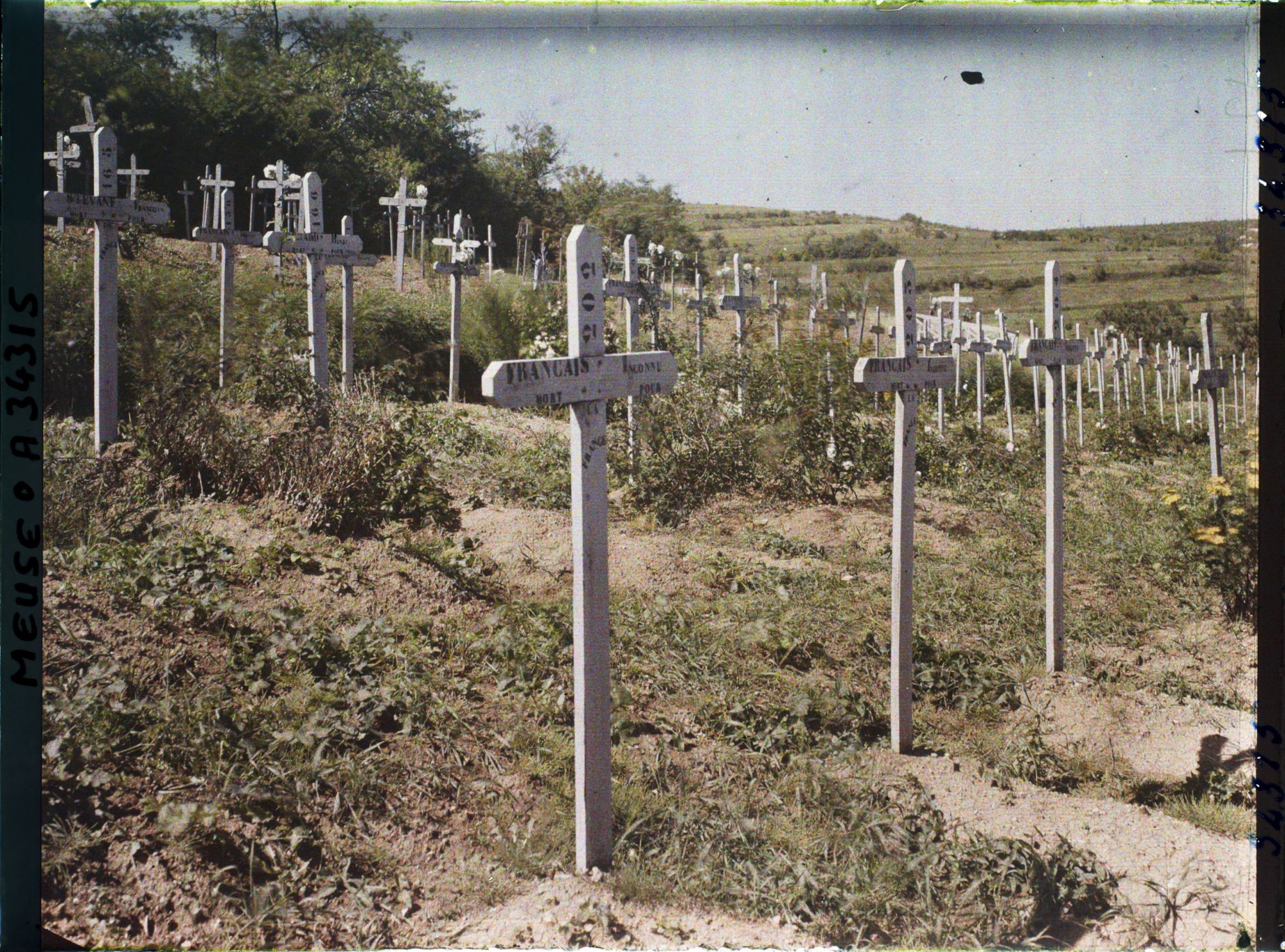 Image représentant France, St Rémy, Cimetière Français