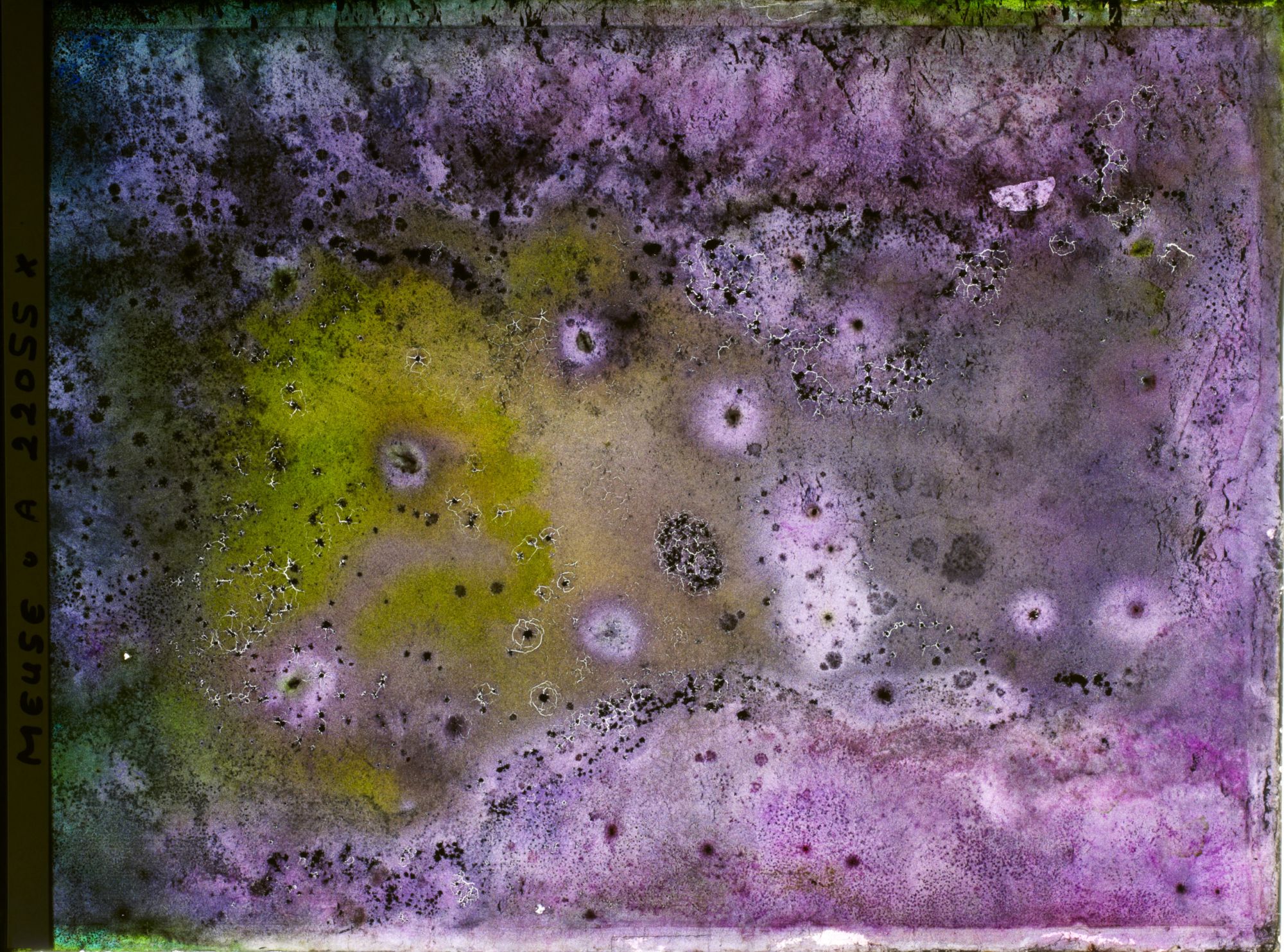 Image représentant Image illisible, plaque endommagée par l'eau (altérations d'époque)