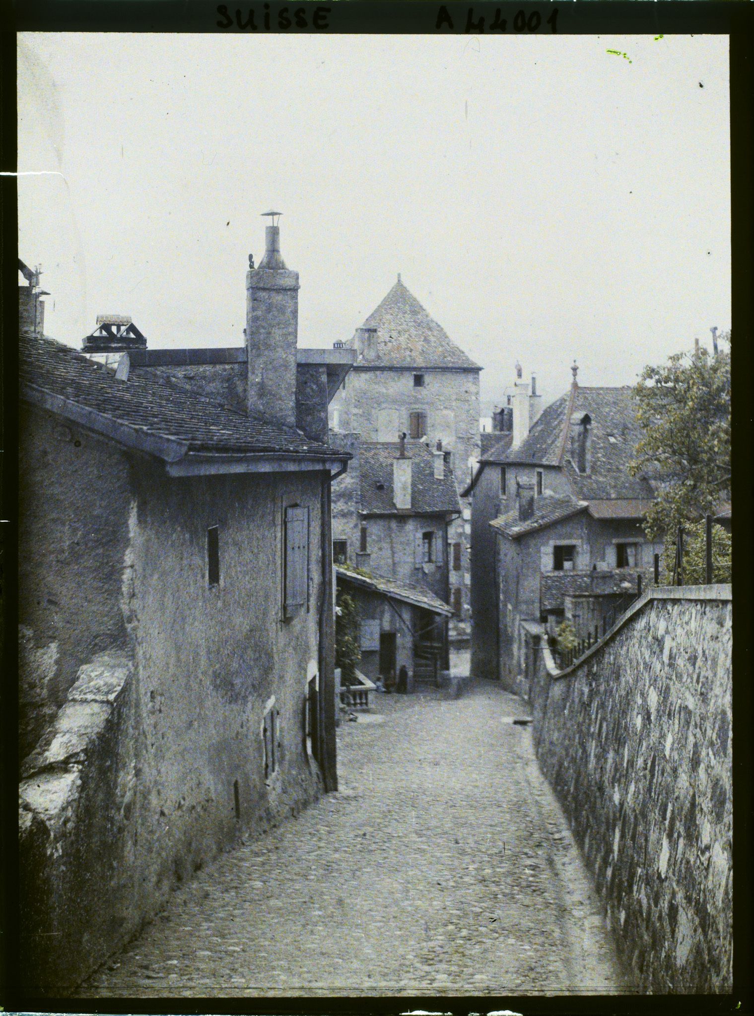 Image représentant La ruelle de la Tour