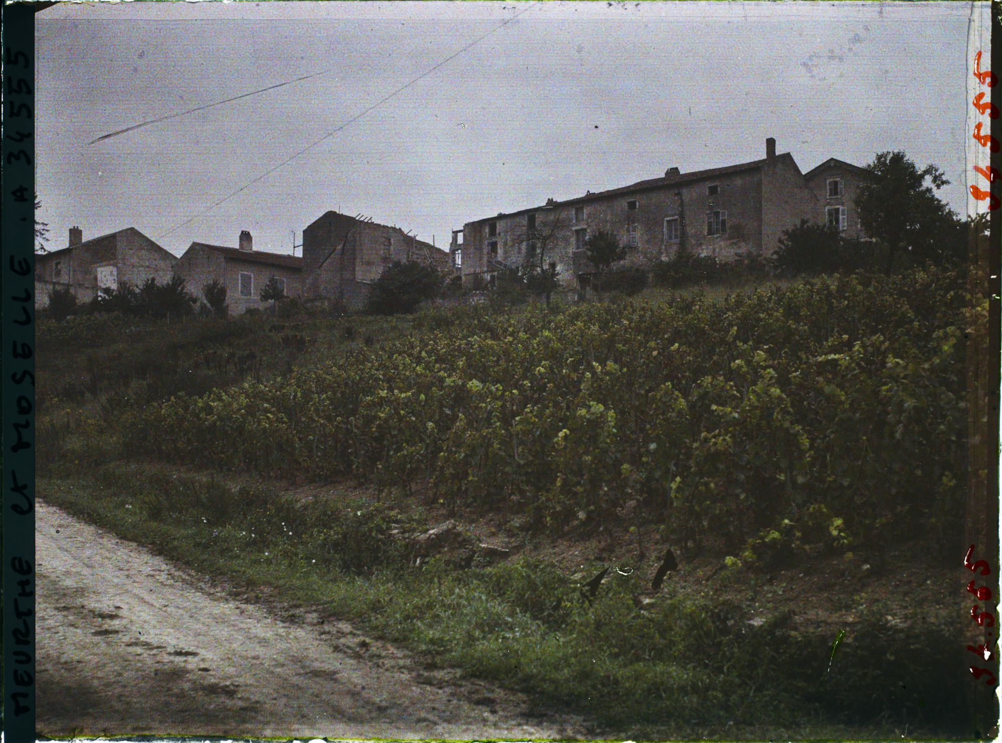 Image représentant France, Norroy, Maisons reconstruites et en reconstruction, Vignes