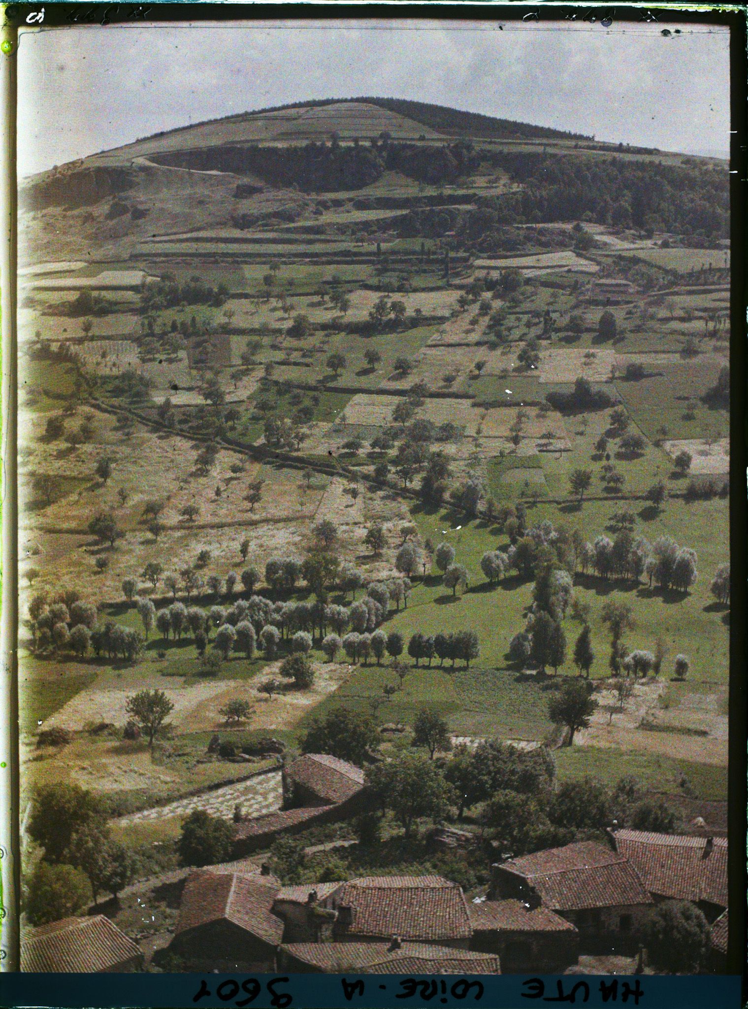 Image représentant Toits du village et paysage de culture, vue prise du château vers le sud-ouest