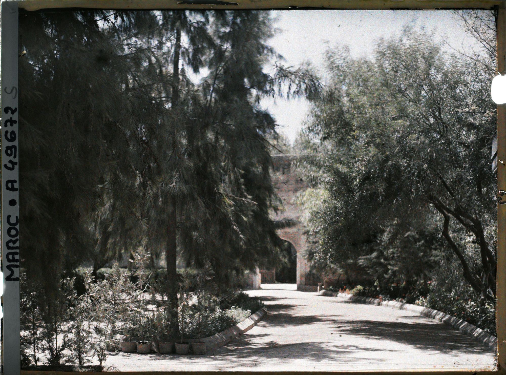 Image représentant Porte d'entrée du palais de la Bahia vue du jardin