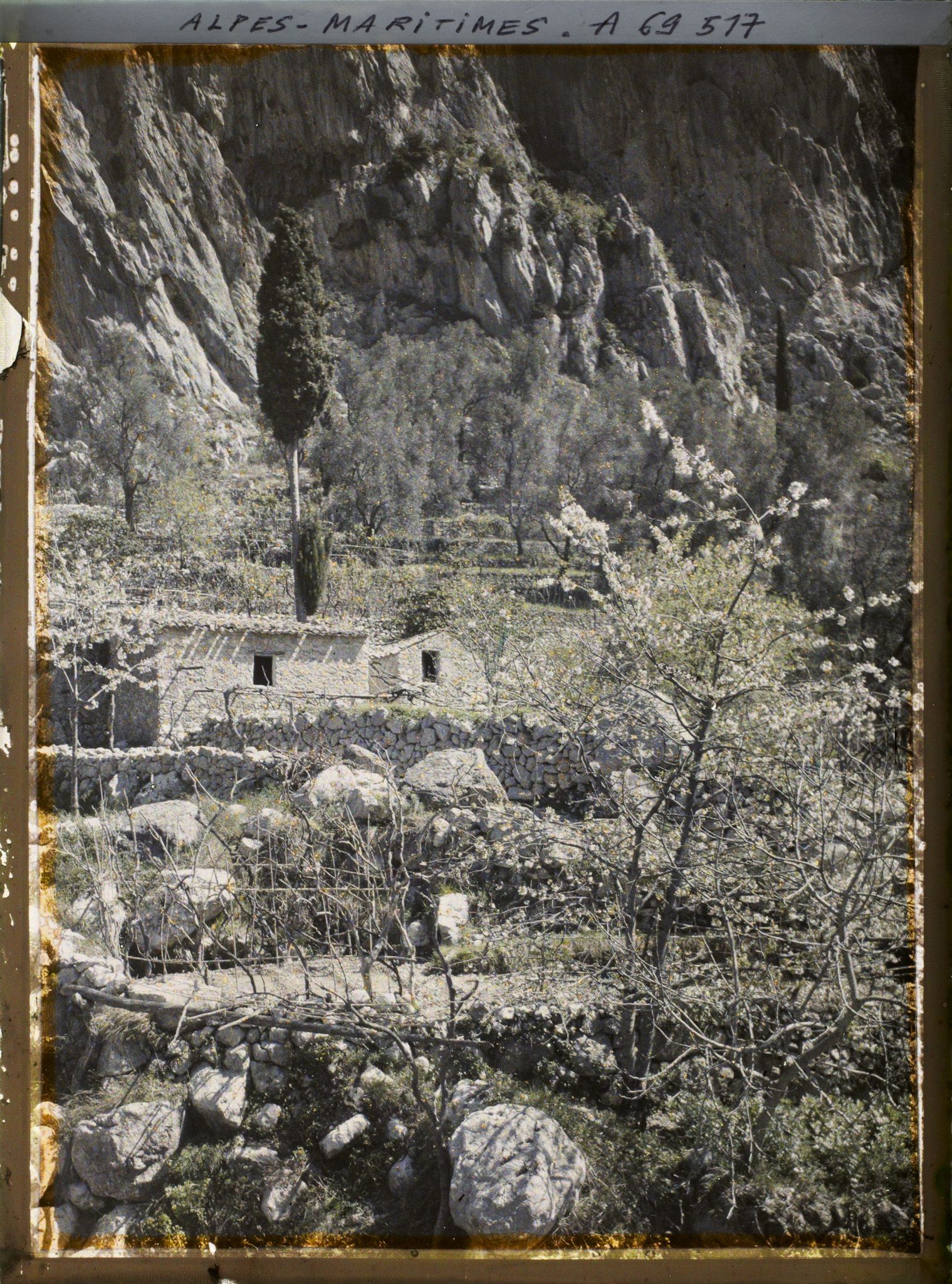 Image représentant Espace cultivé au pied du rocher Sainte-Agnès ?
