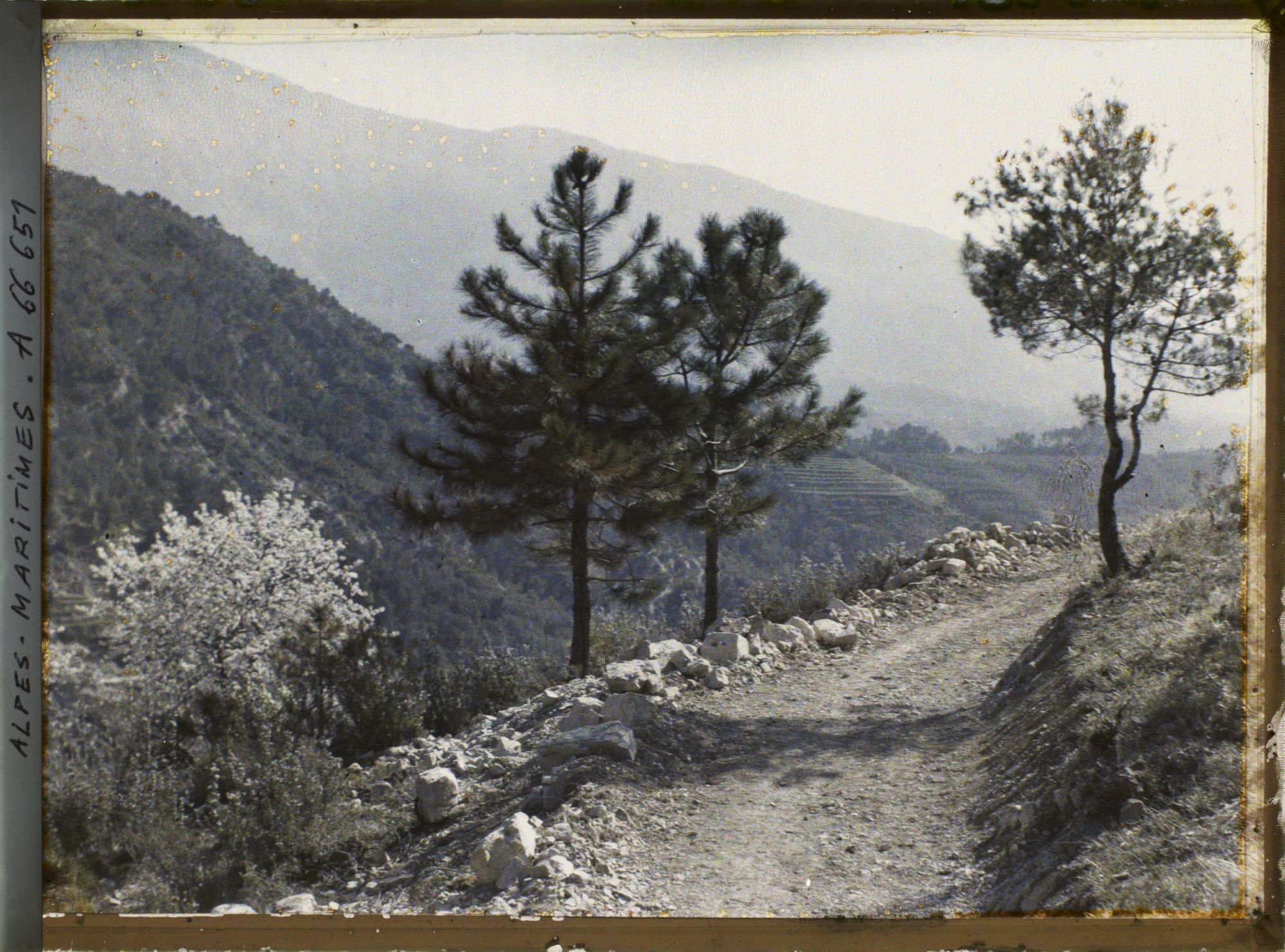Image représentant Sur la route de Gorbio