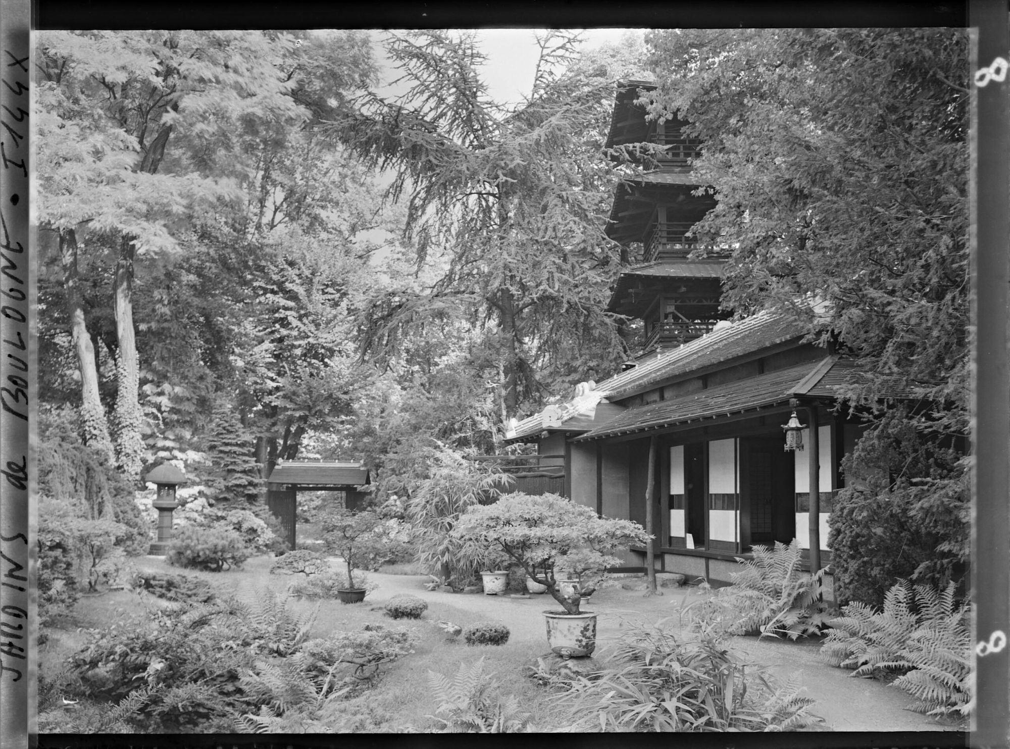Image représentant Partie du jardin face à la maison est du " village japonais ", vue en direction du jardin anglais