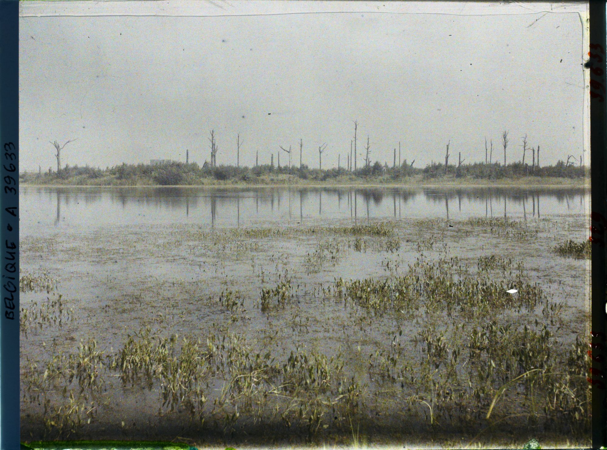 Image représentant Belgique, Hooghe, Etang de Bellewaarde