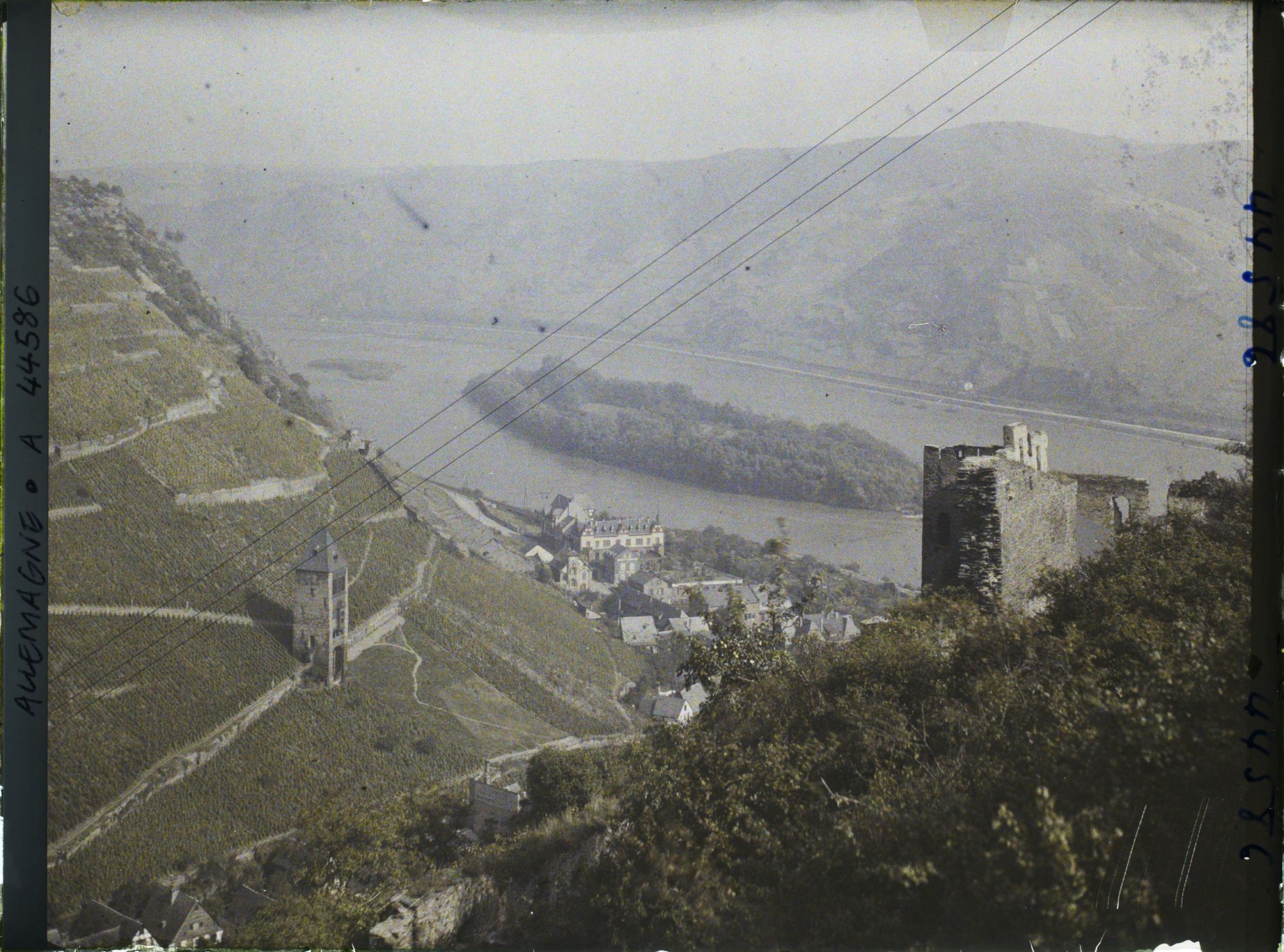 Image représentant Allemagne, Bacharach, Panorama sur le Château et le Rhin