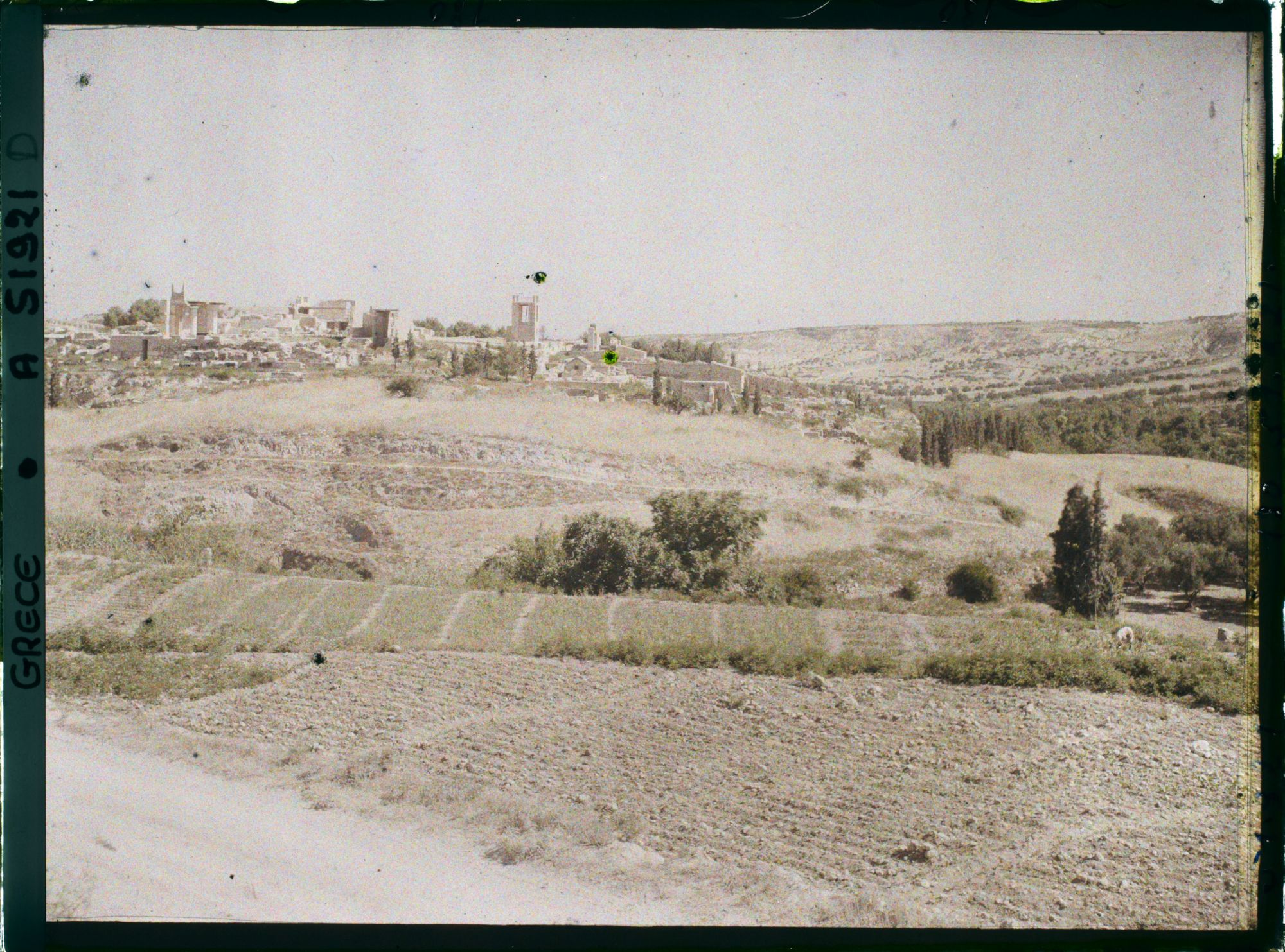 Image représentant Panorama vers l'ensemble des ruines du Palais
