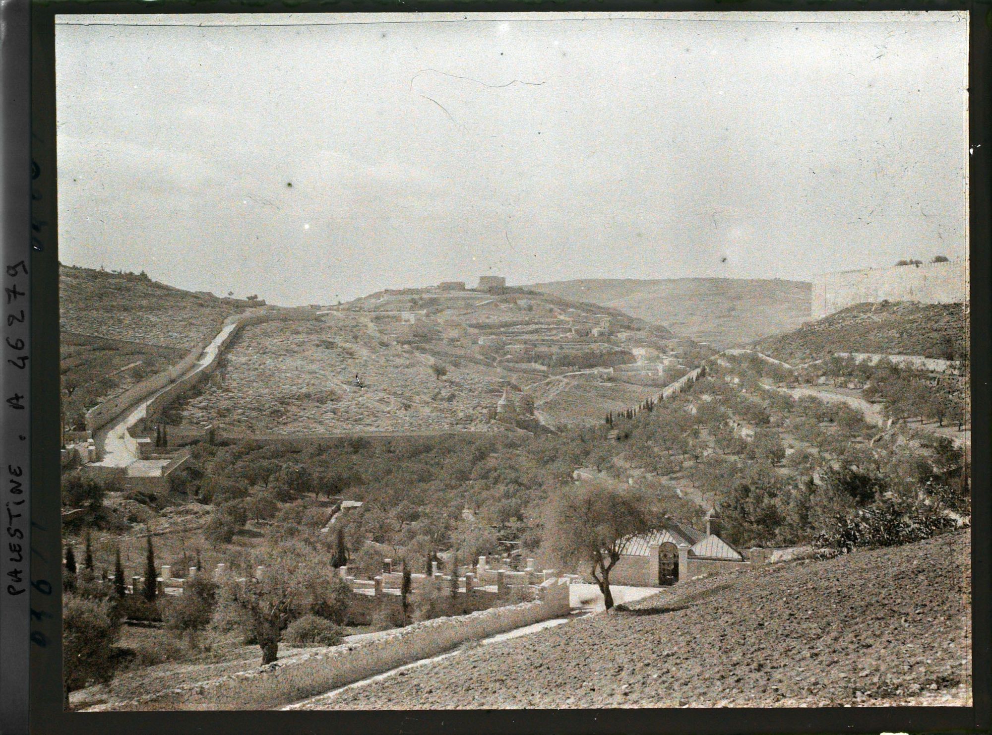 Image représentant La vallée du Cédron
