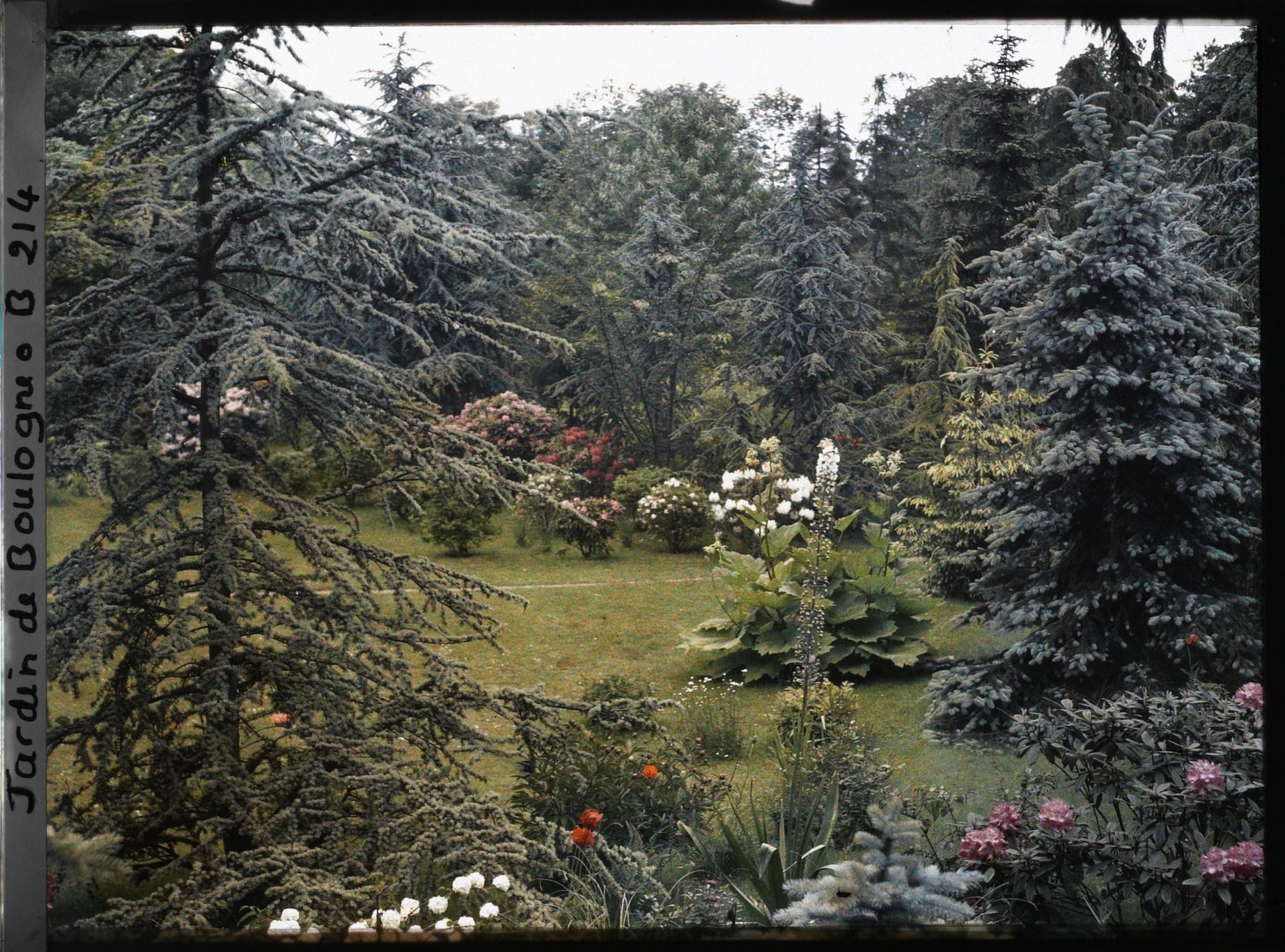 Image représentant Espace fleuri proche du marais, vu en direction du nord-est