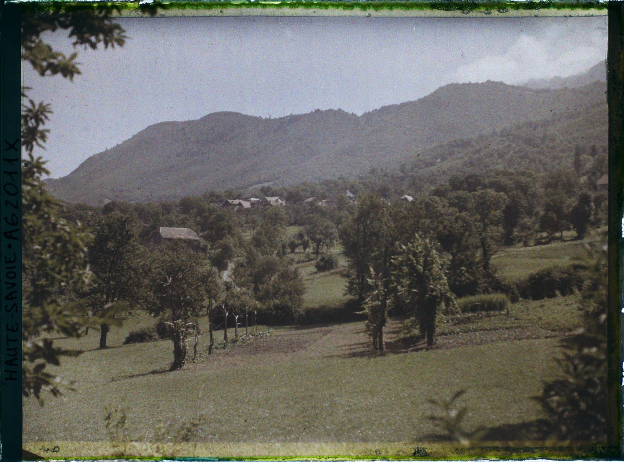 Image représentant Hte Savoie, Lugrin-Tourronde, Vignes et Chataîgneraies