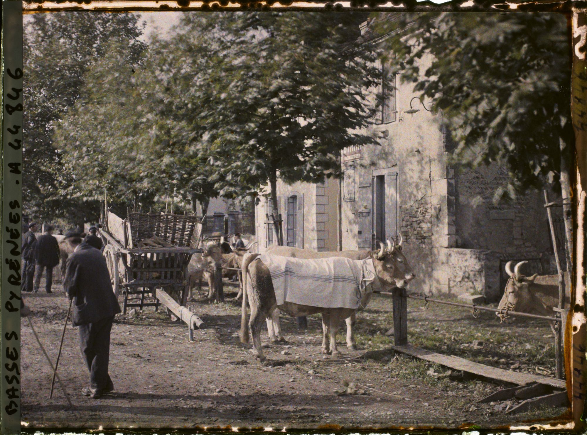 Image représentant France, Sauveterre de Béarn, Le Marché au bétail