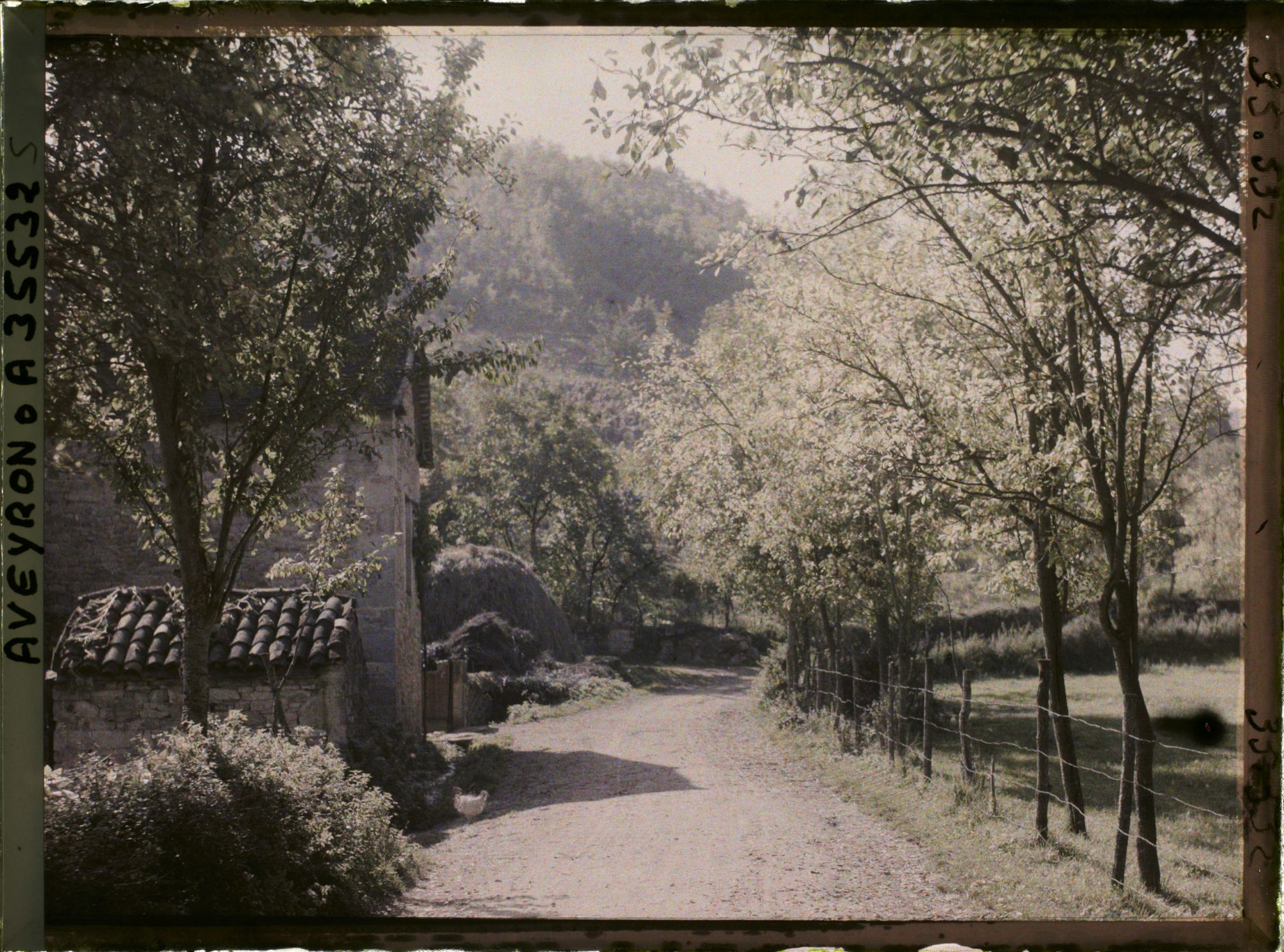 Image représentant La route de Naussac, et la colline dite Mont Cavalié