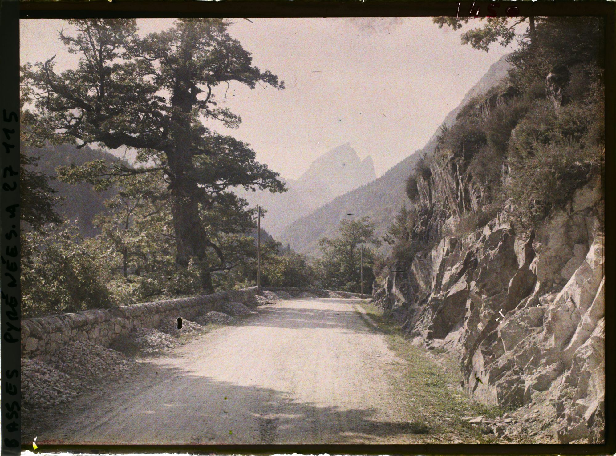 Image représentant France , Vallée D'Ossau, La route au Chêne de l'Ours
