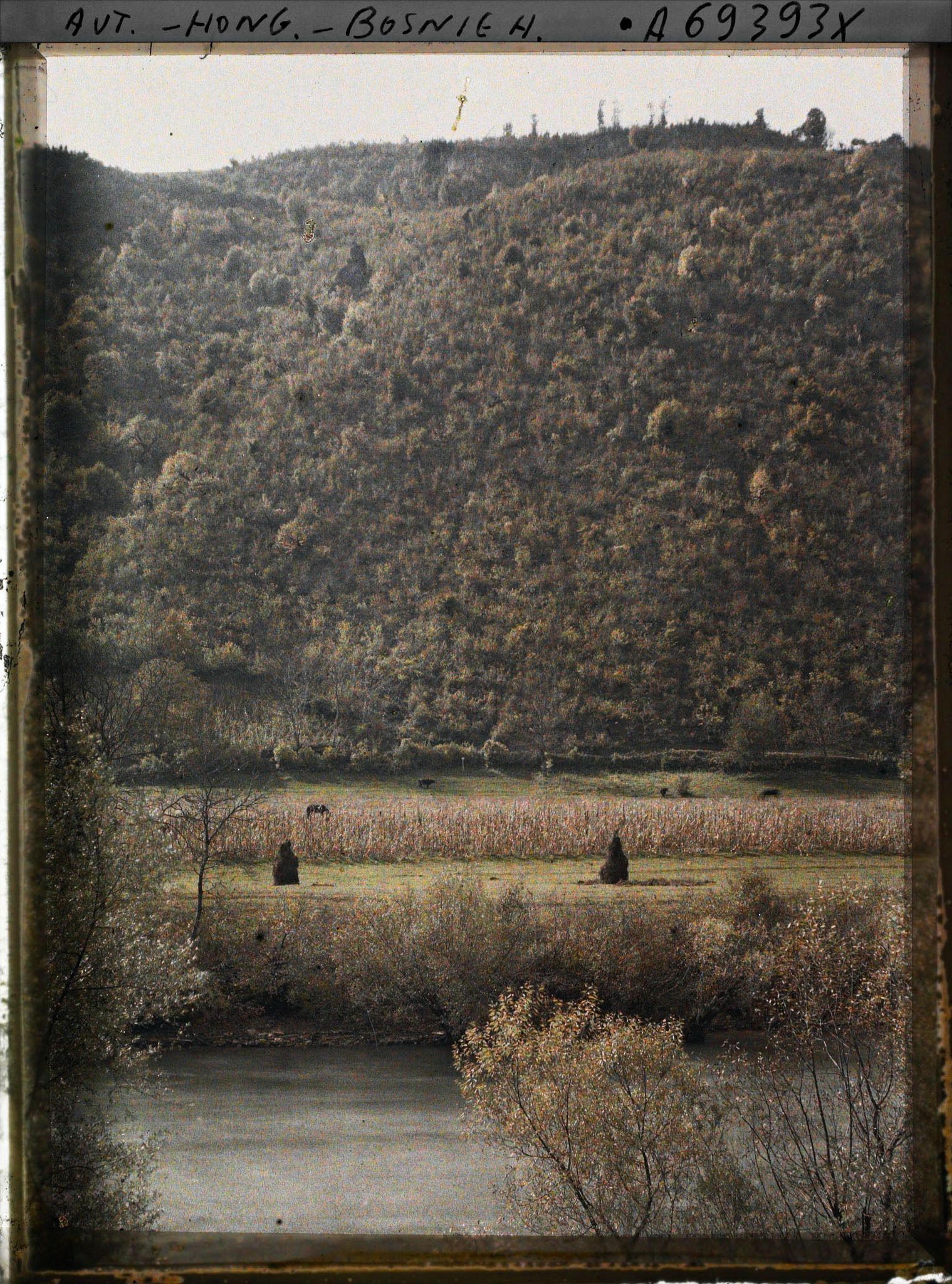 Image représentant Rives du Vrbas