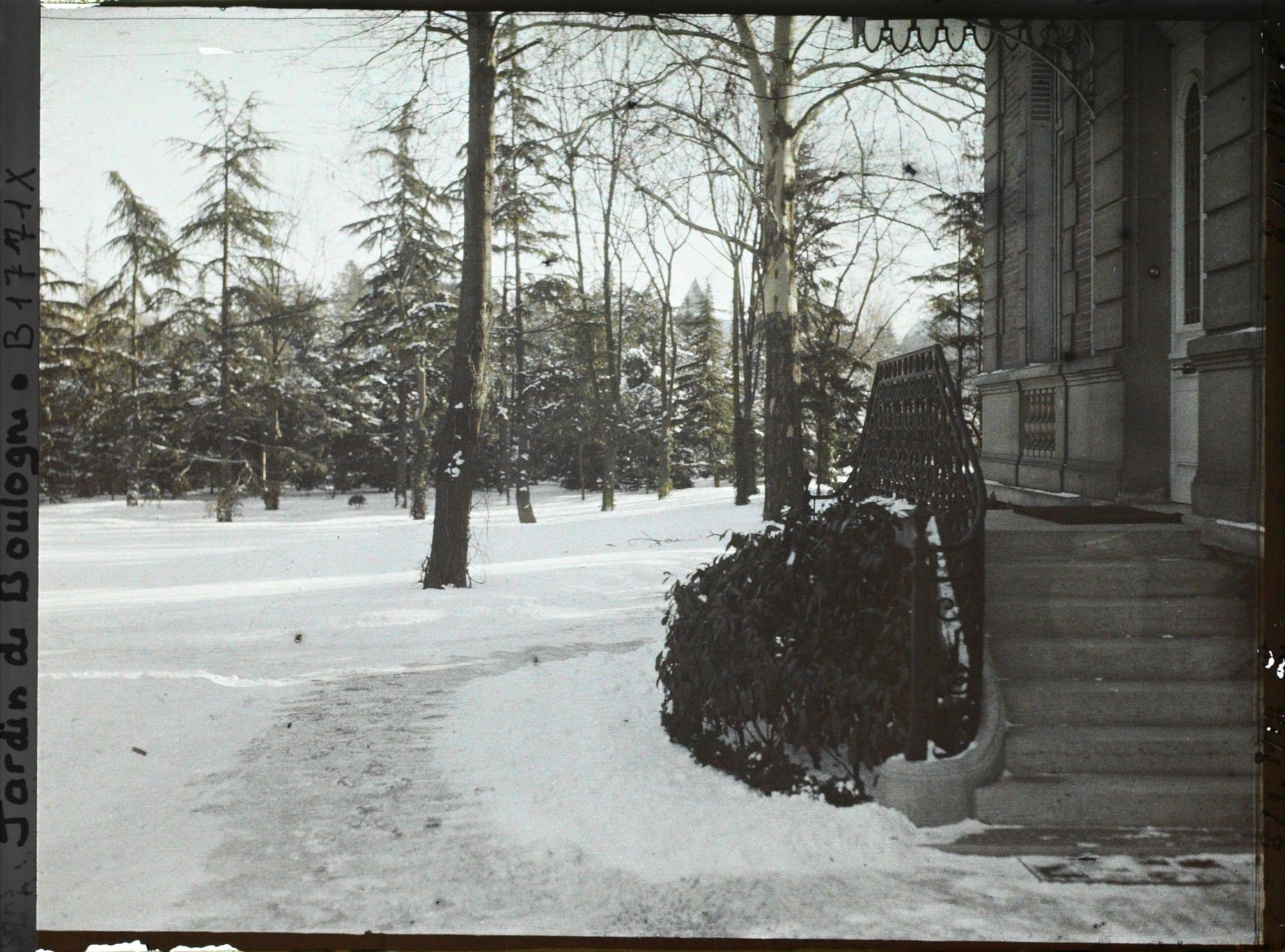 Image représentant la grande pelouse enneigée vue depuis la maison d'Albert Kahn