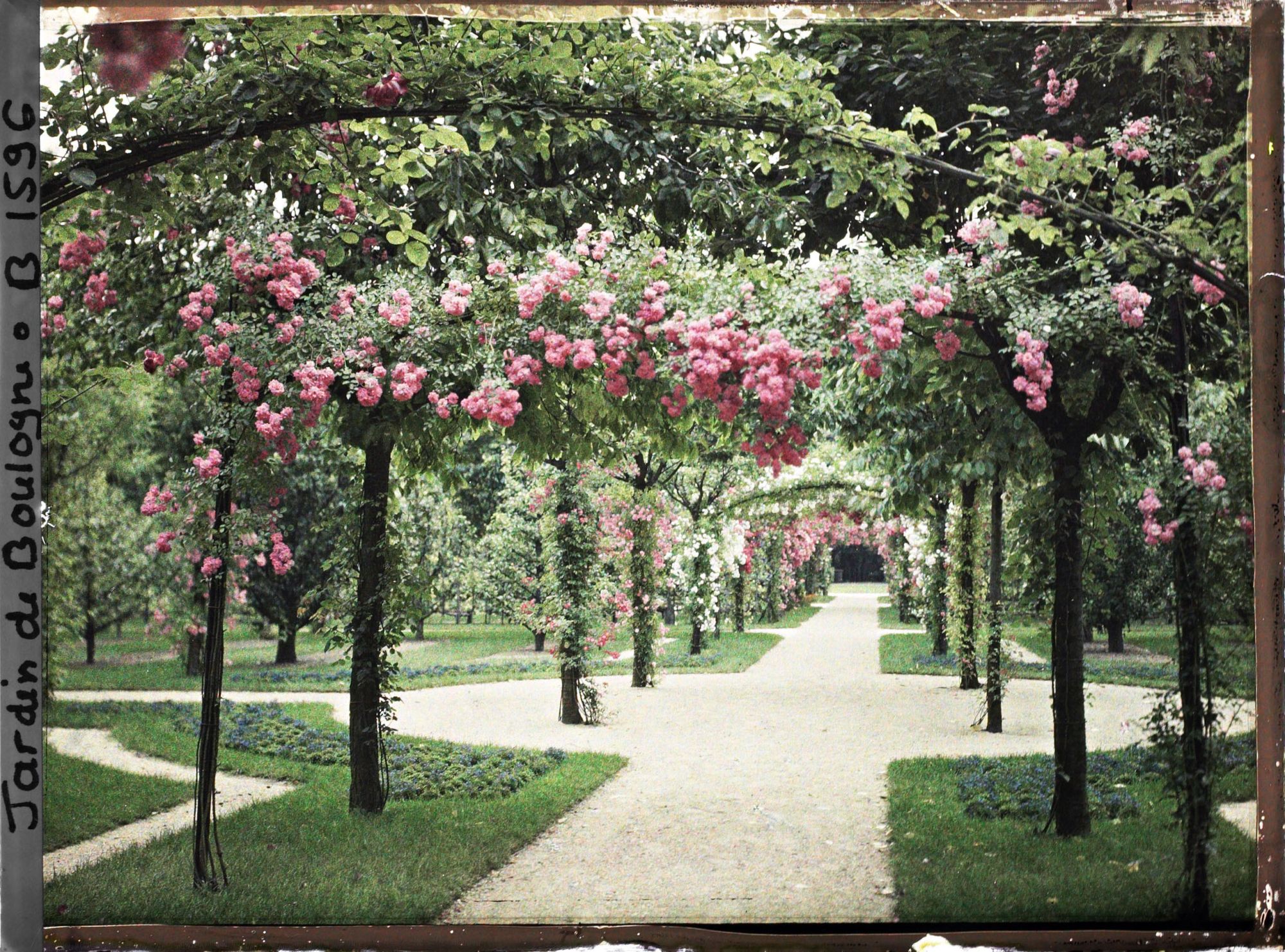 Image représentant Axe central du verger-roseraie vu en direction du jardin anglais, près du rond-point côté dépendance