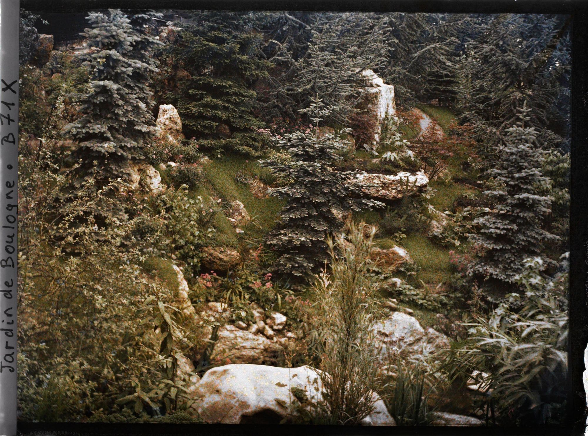 Image représentant Paysage arboré du " sanctuaire japonais " se déroulant à flanc de coteau, près de la façade de temple