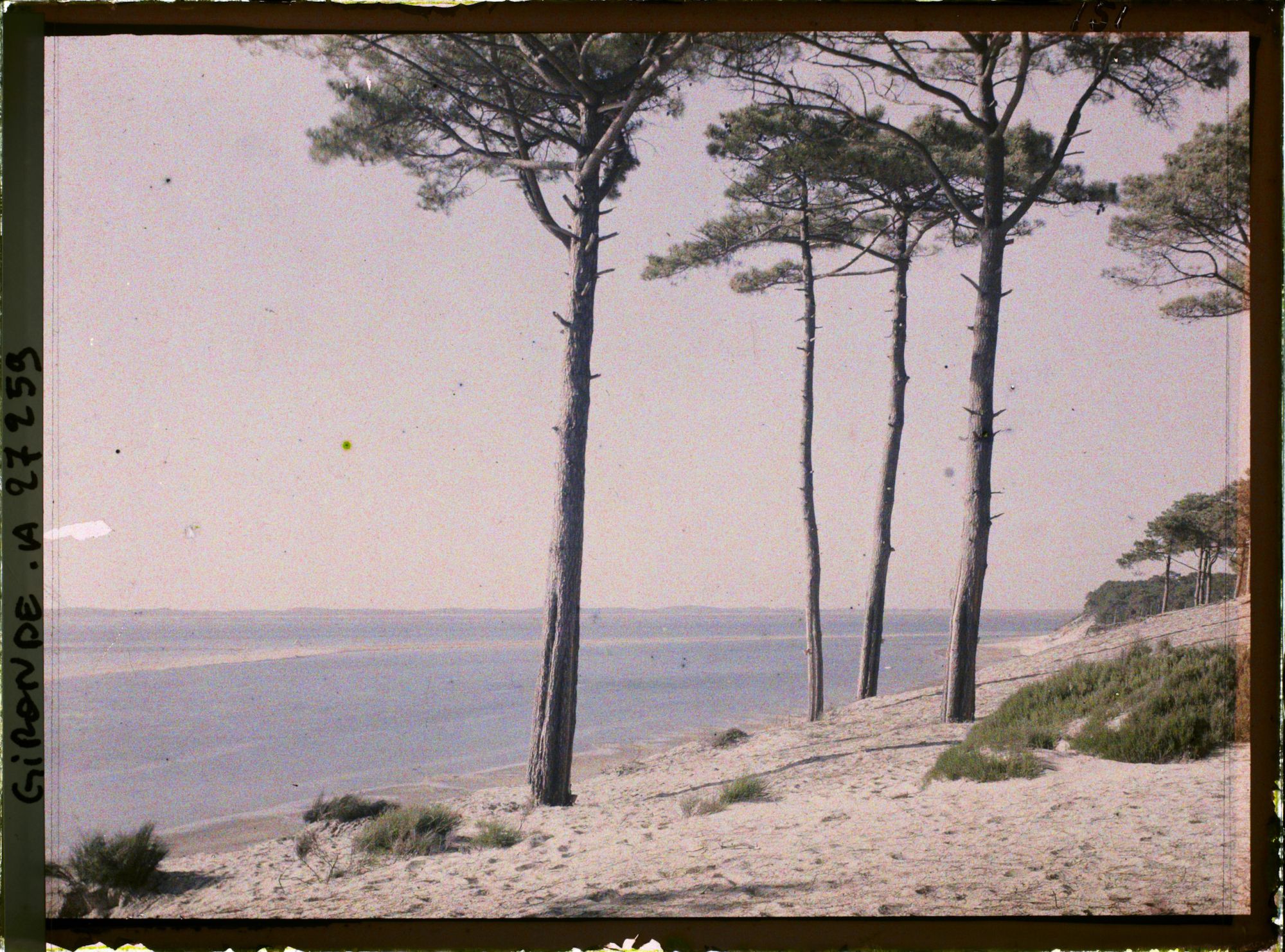 Image représentant France, Arcachon, Les bords du Bassin