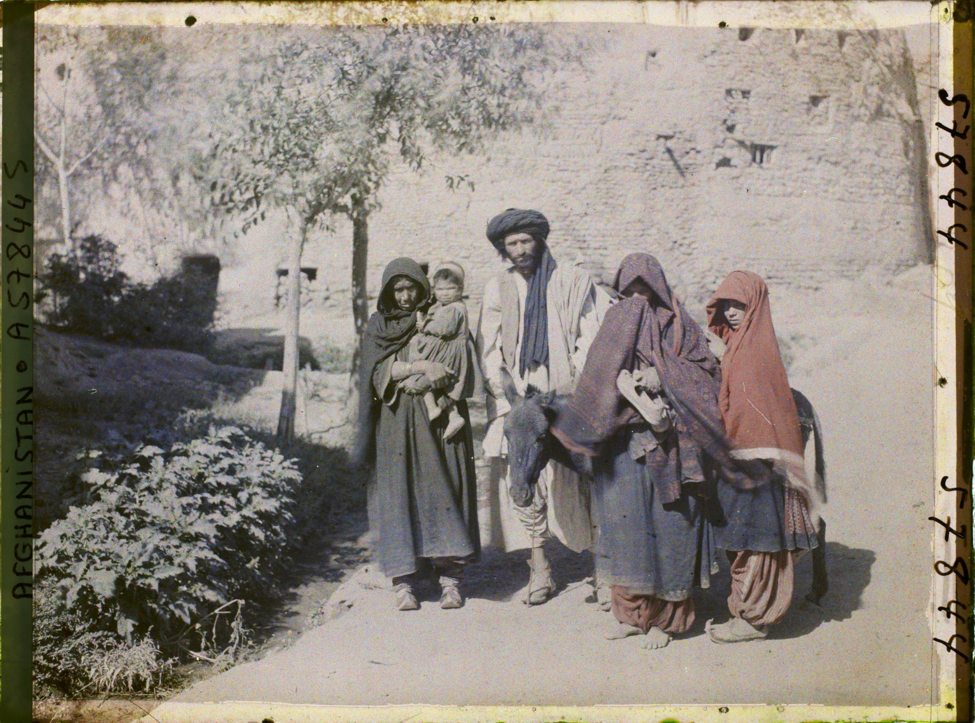 Image représentant Afghanistan, Ghazni, Famille de Nomades, Tribu de Niazi
