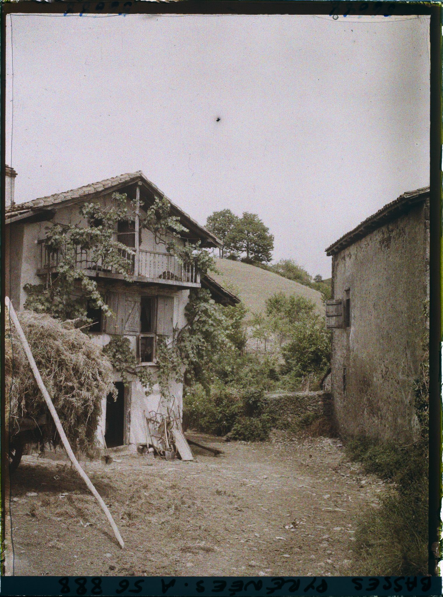 Image représentant France, Bas Cambo, Dans le Village : Vieilles fermes