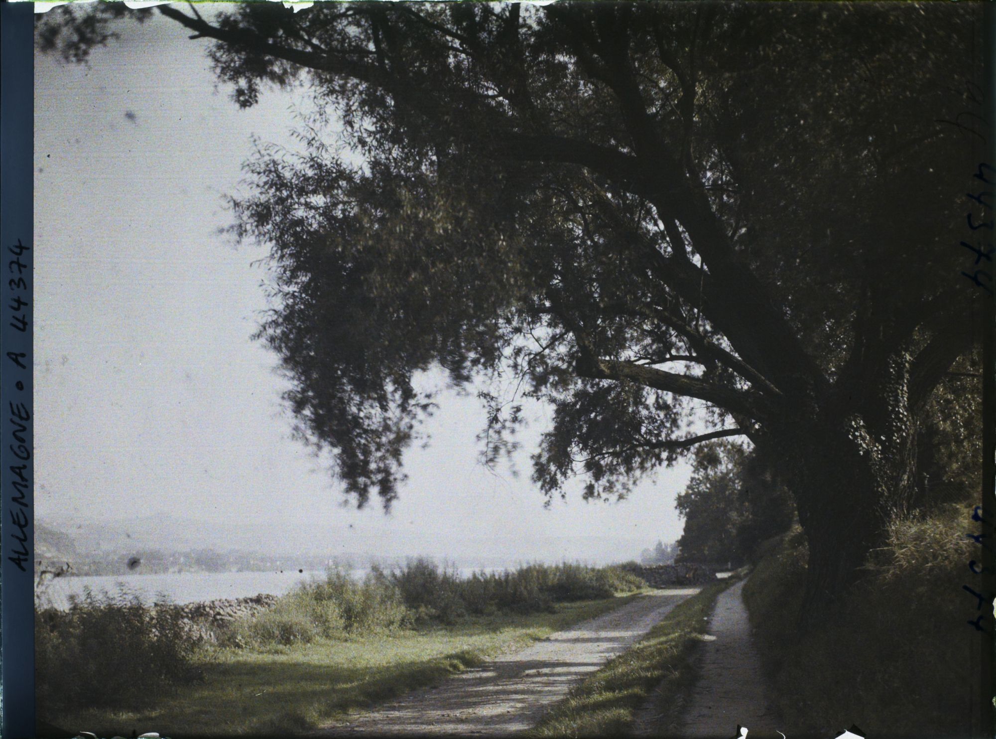 Image représentant Allemagne, Mehlem, Paysage le long du Rhin