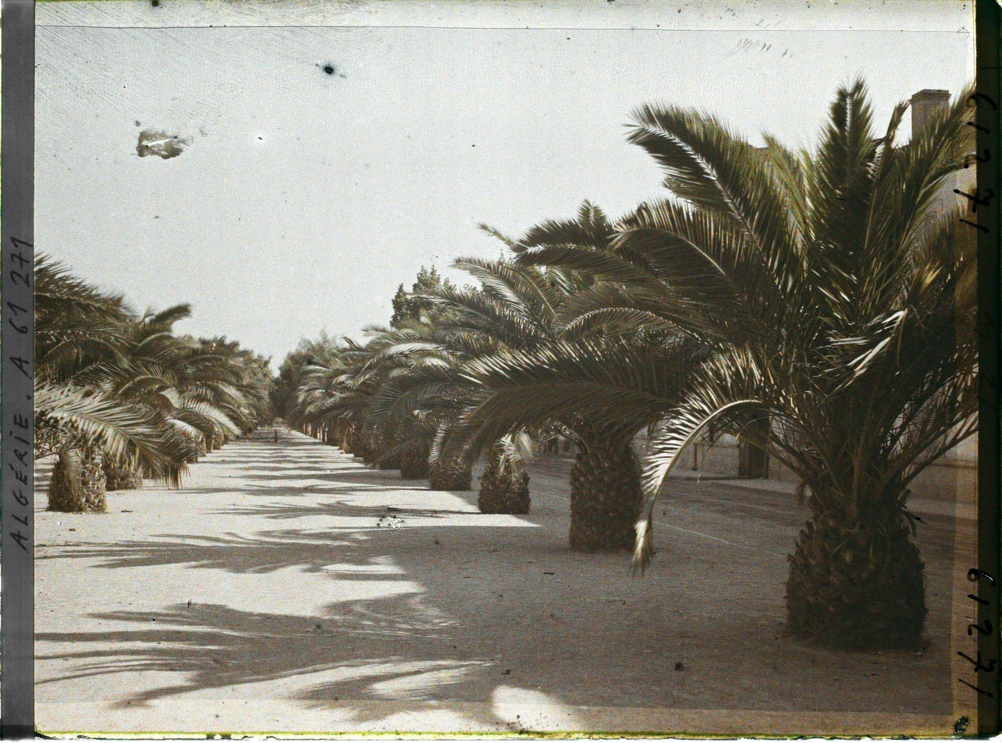 Image représentant Boulevard Polycarpe-Gros