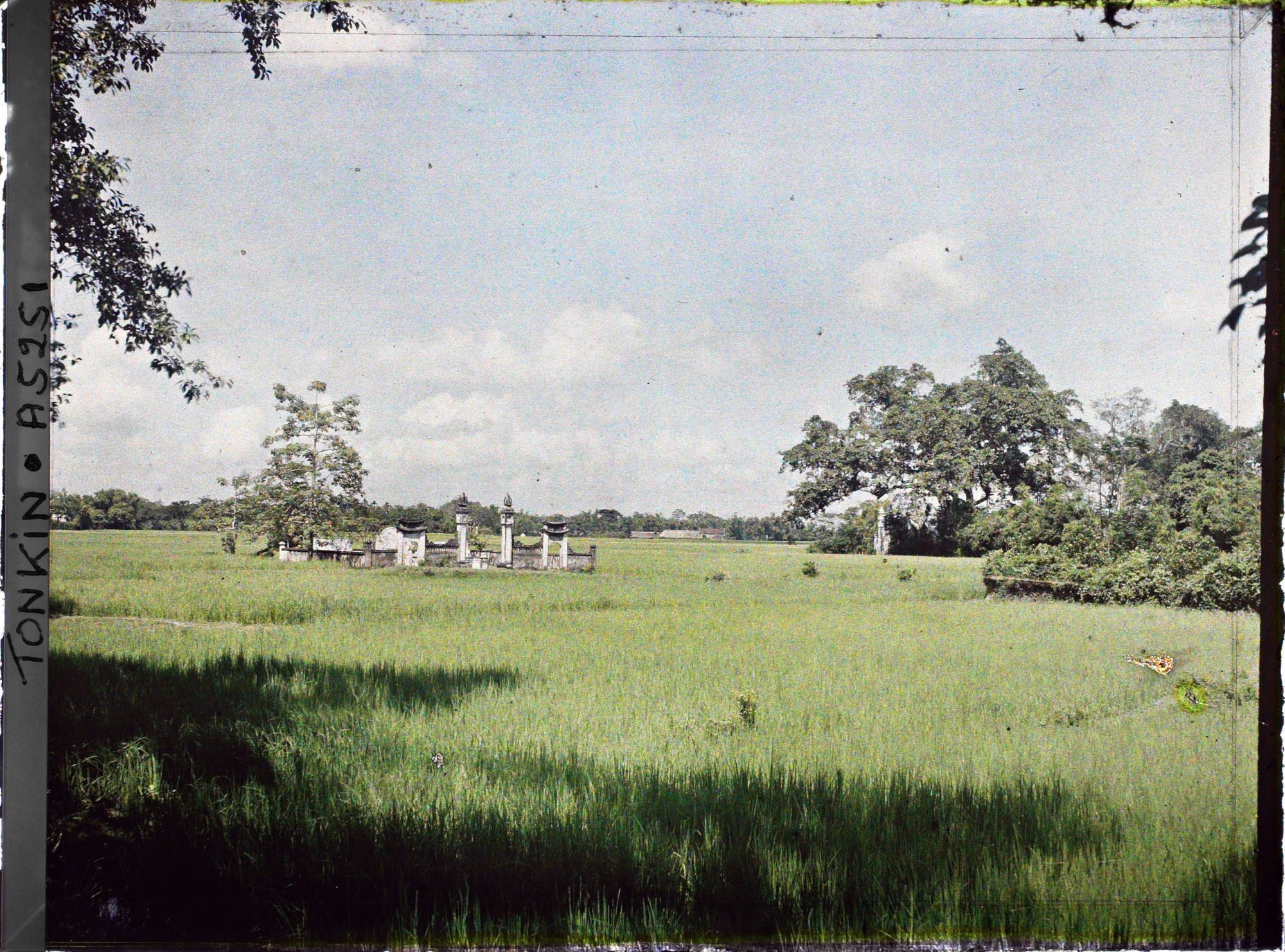 Image représentant Des rizières entourant un temple