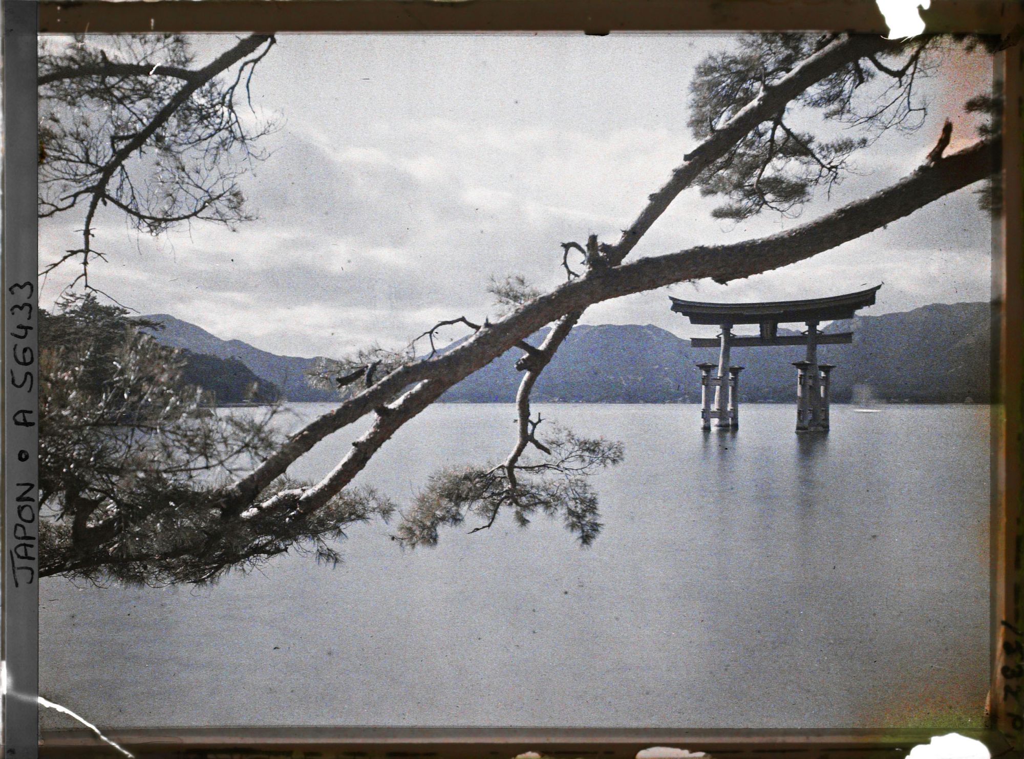 Image représentant Le torii marin de l'Isukushima-jinja