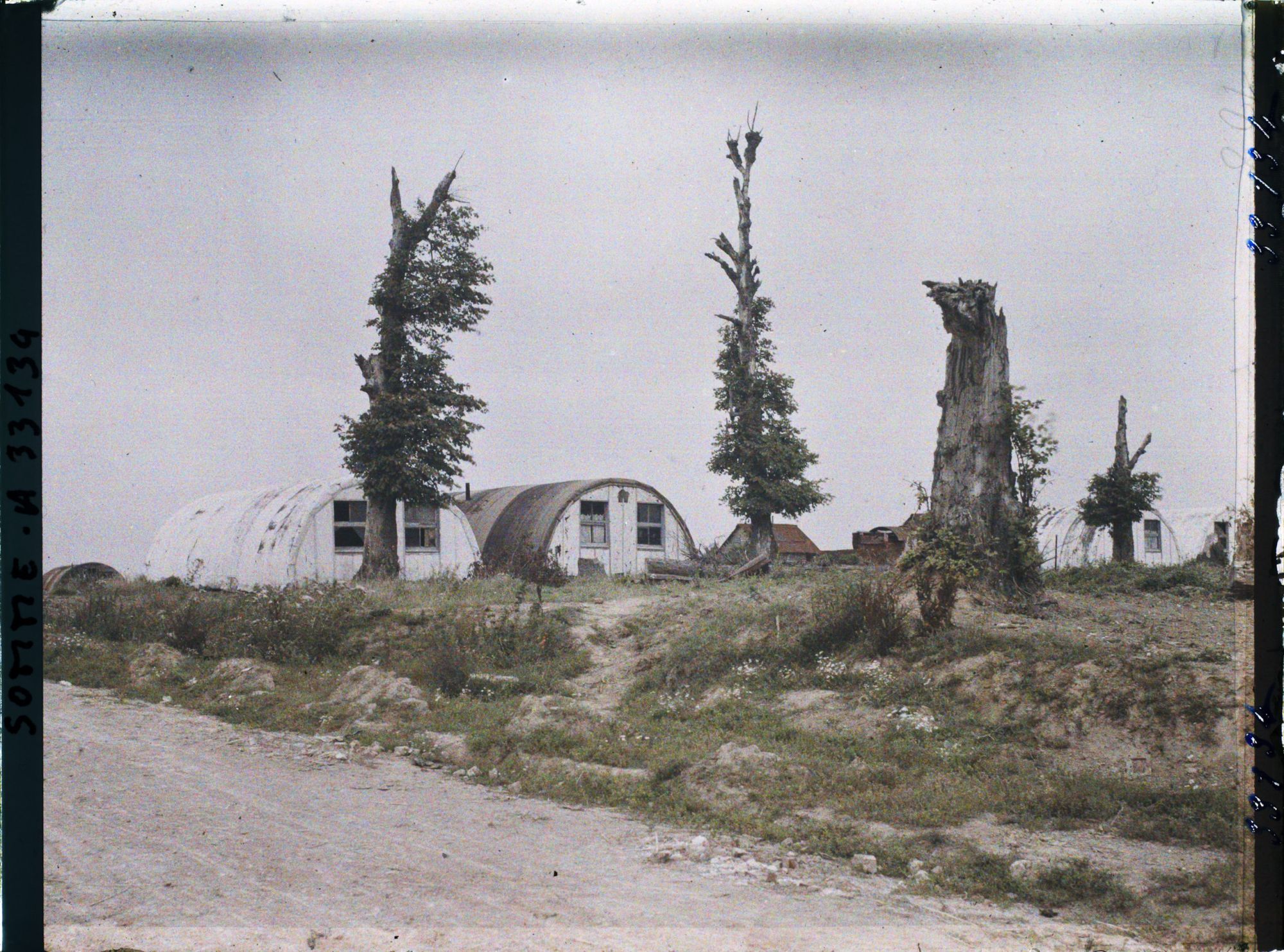 Image représentant Maurepas, Métros et arbres morts