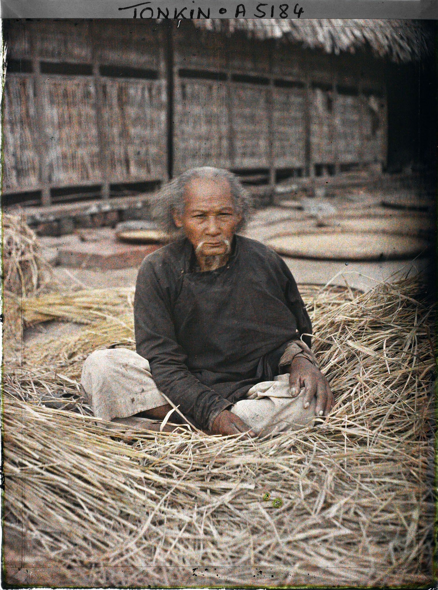 Image représentant Un vieil homme assis sur de la paille de riz dans une cour de ferme, à l'époque de la moisson