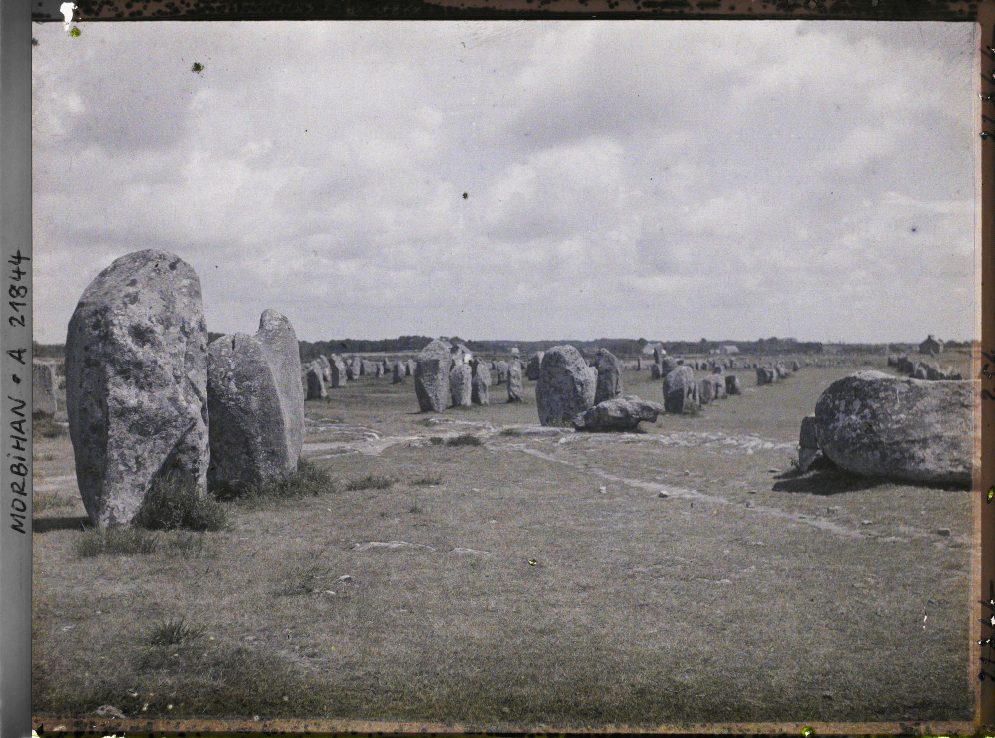 Image représentant Alignements de menhirs