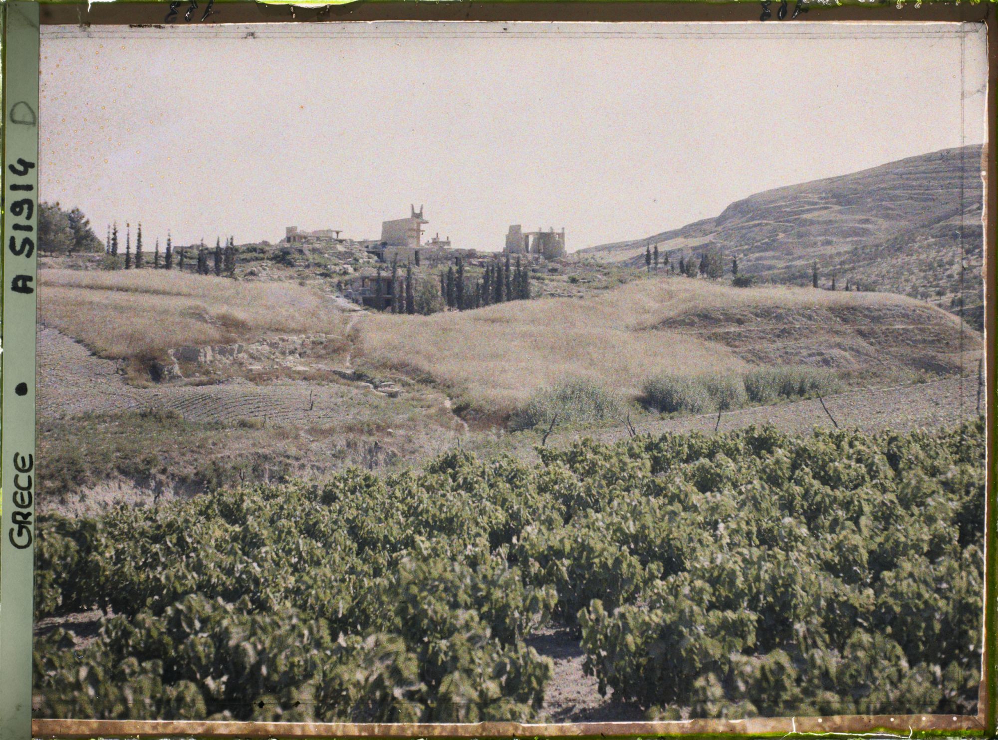 Image représentant Panorama vers l'ensemble des ruines du Palais