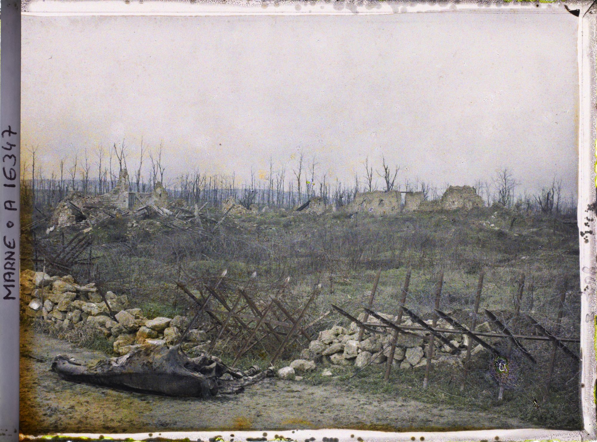 Image représentant Le Godat