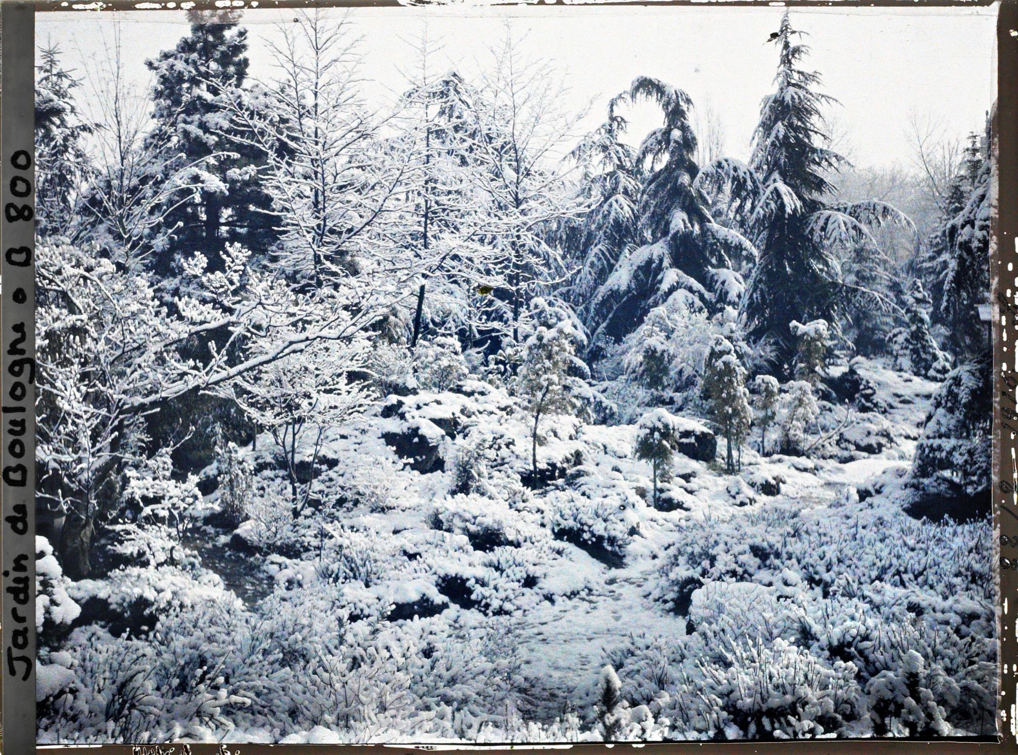 Image représentant Espace arboré du " sanctuaire japonais " sous la neige avec une allée menant au " village japonais "