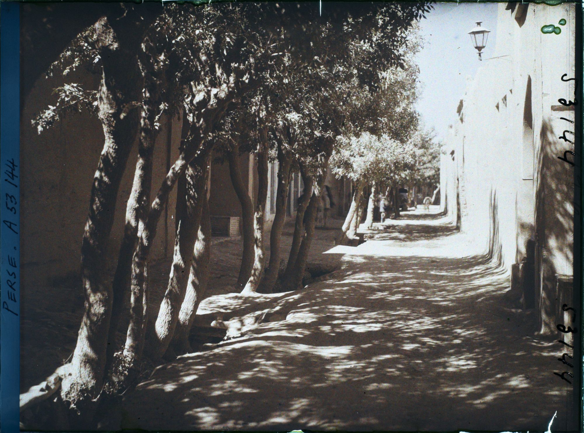 Image représentant Une rue plantée d'arbres