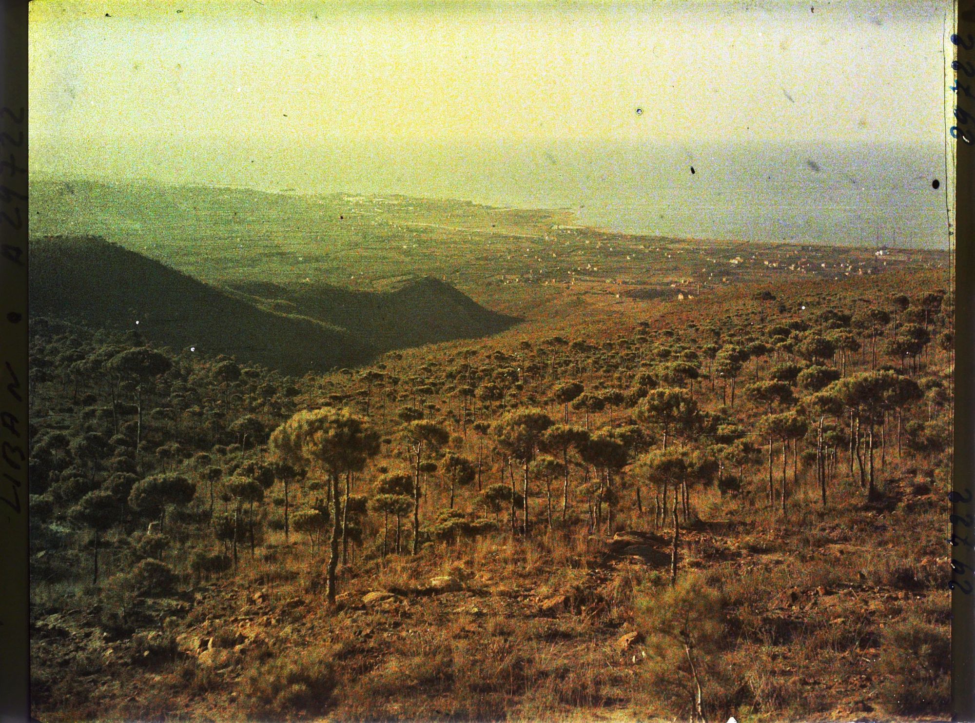 Image représentant Vue sur la baie de Beyrouth