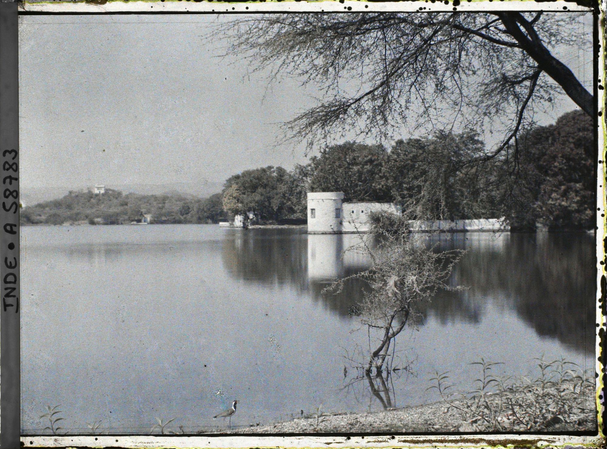 Image représentant Paysage du lac Pichola