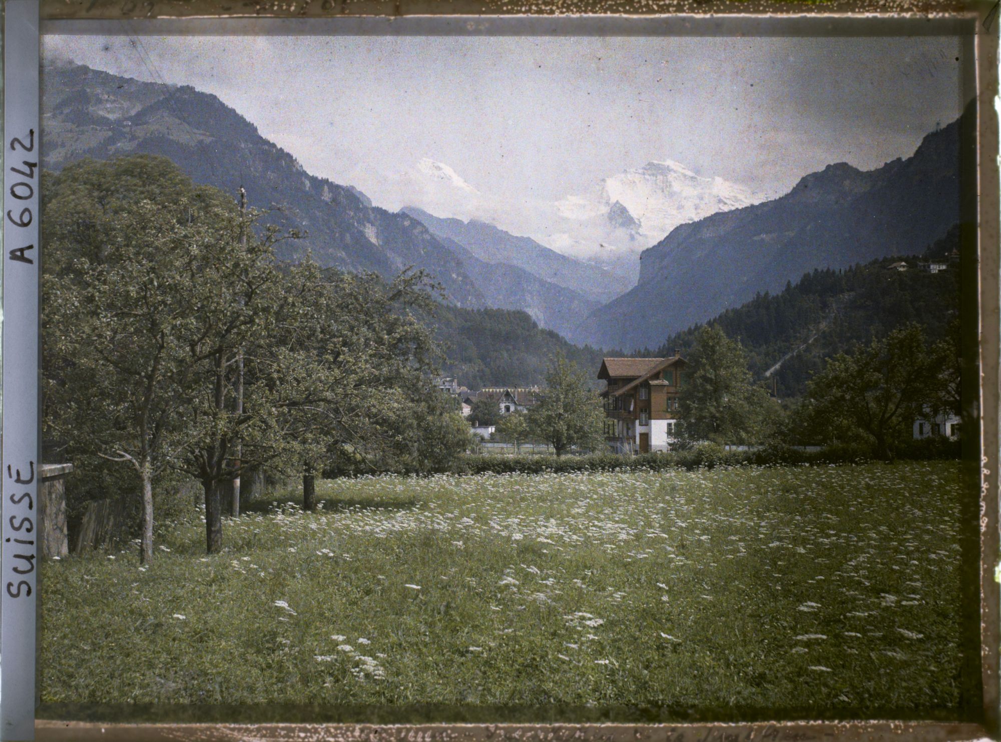 Image représentant Panorama d'Interlaken et de la Jungfrau