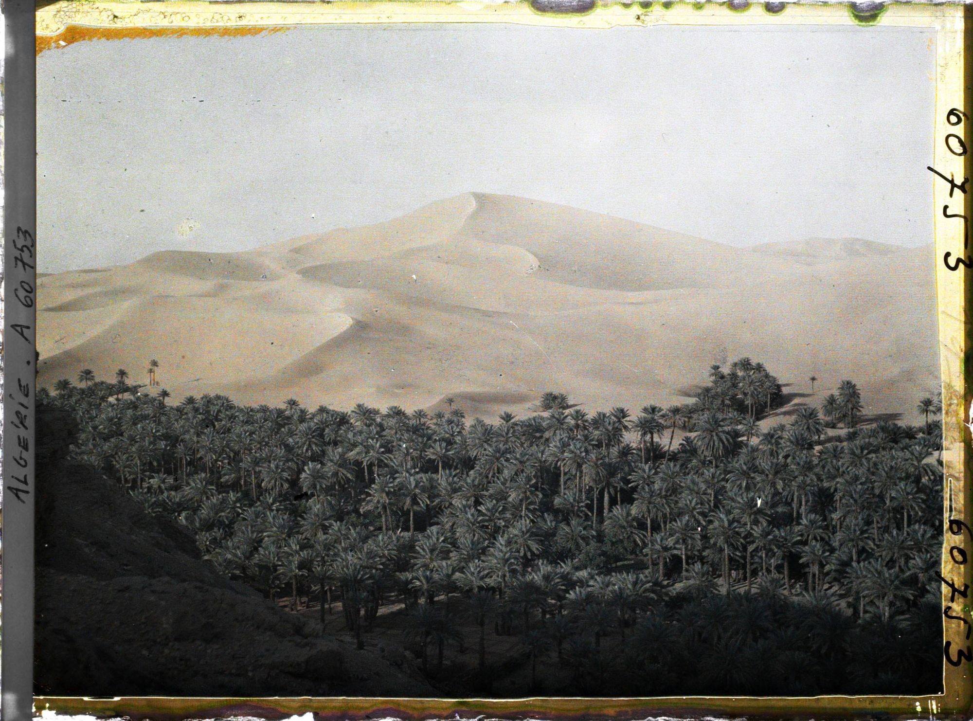Image représentant La partie est de l'oasis, au bas de la dune
